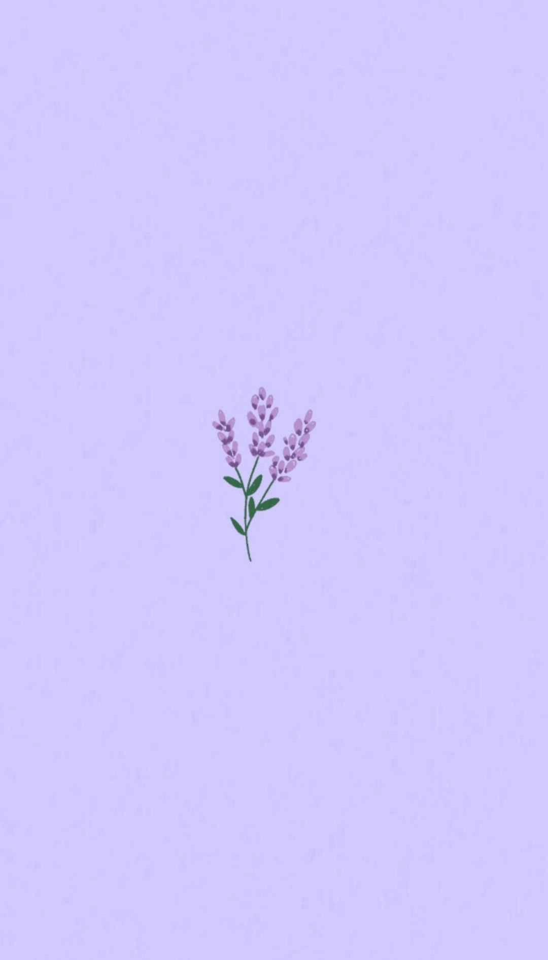Light Purple Aesthetic Lavender Flower — 1080x1892 wallpaper