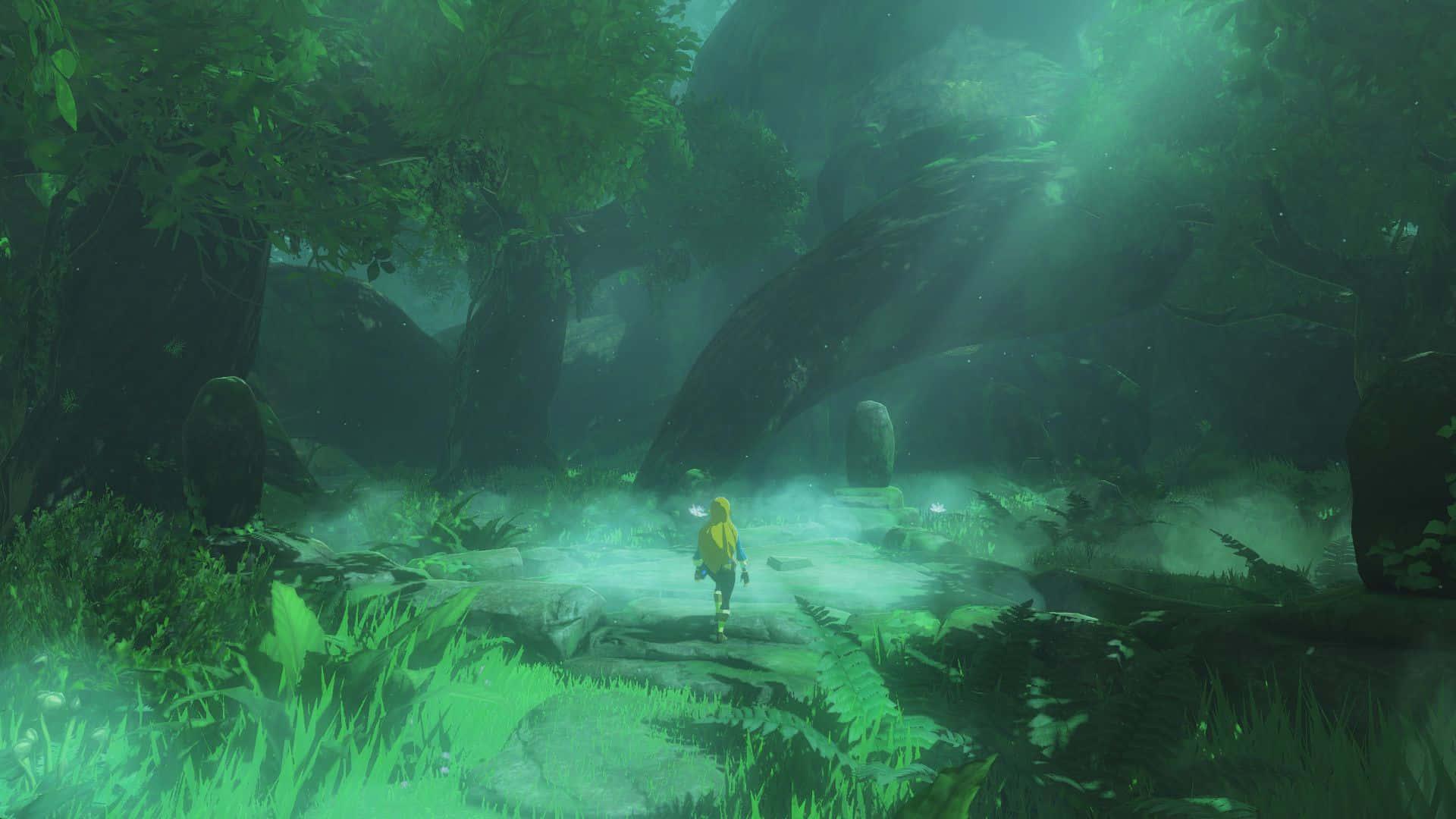 Link on a journey throughout the world of The Legend of Zelda — 1920x1080 wallpaper
