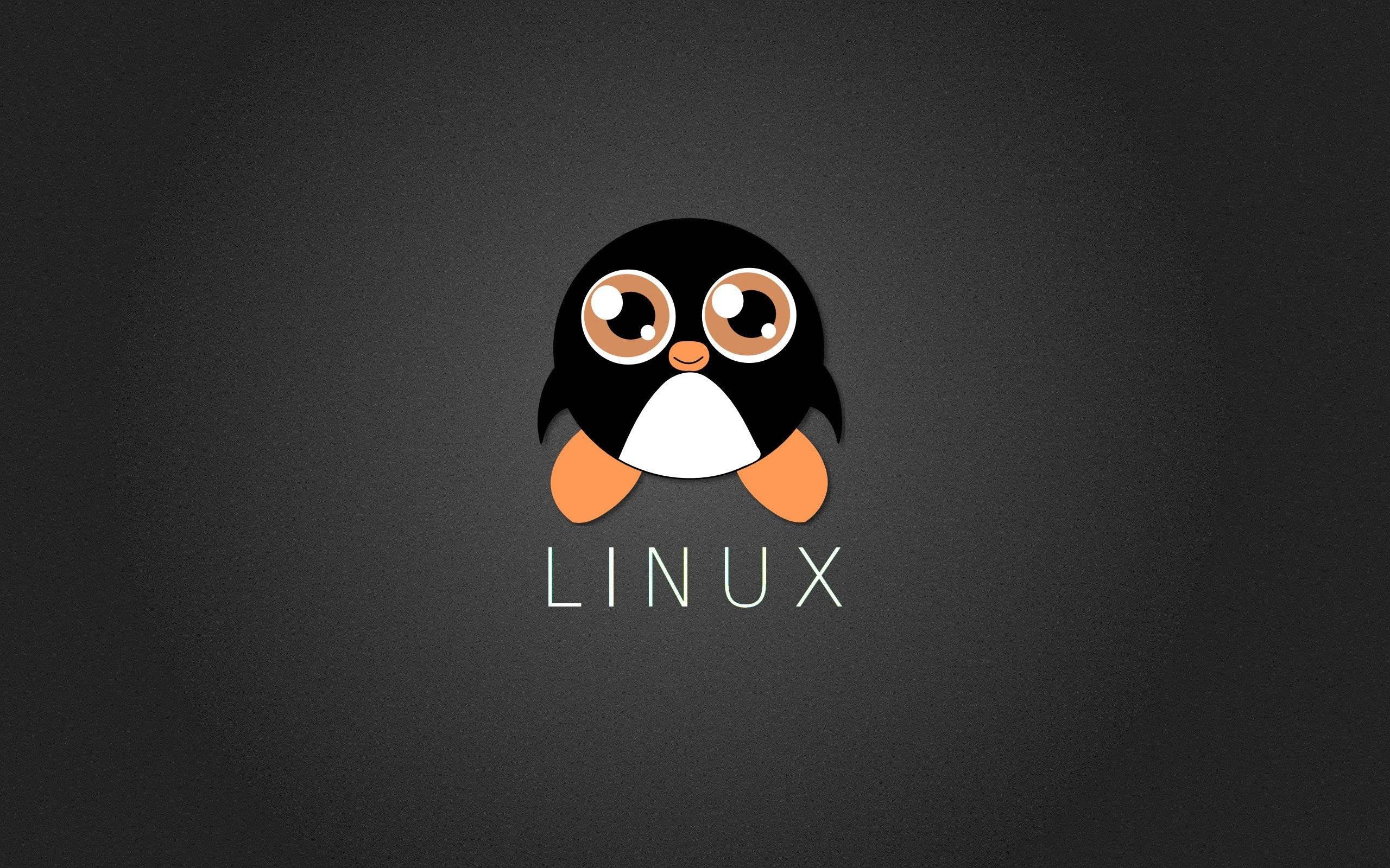 Linux Cute Cartoon Penguin — 2560x1600 wallpaper