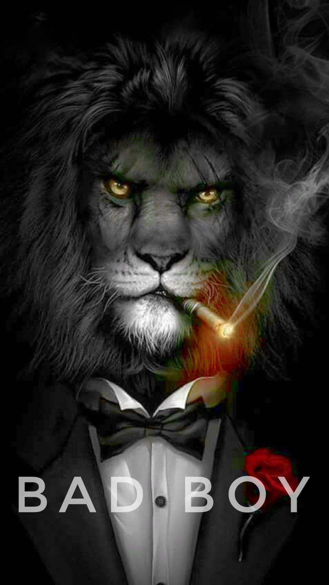 Lion Bad Boy — 1080x1920 wallpaper