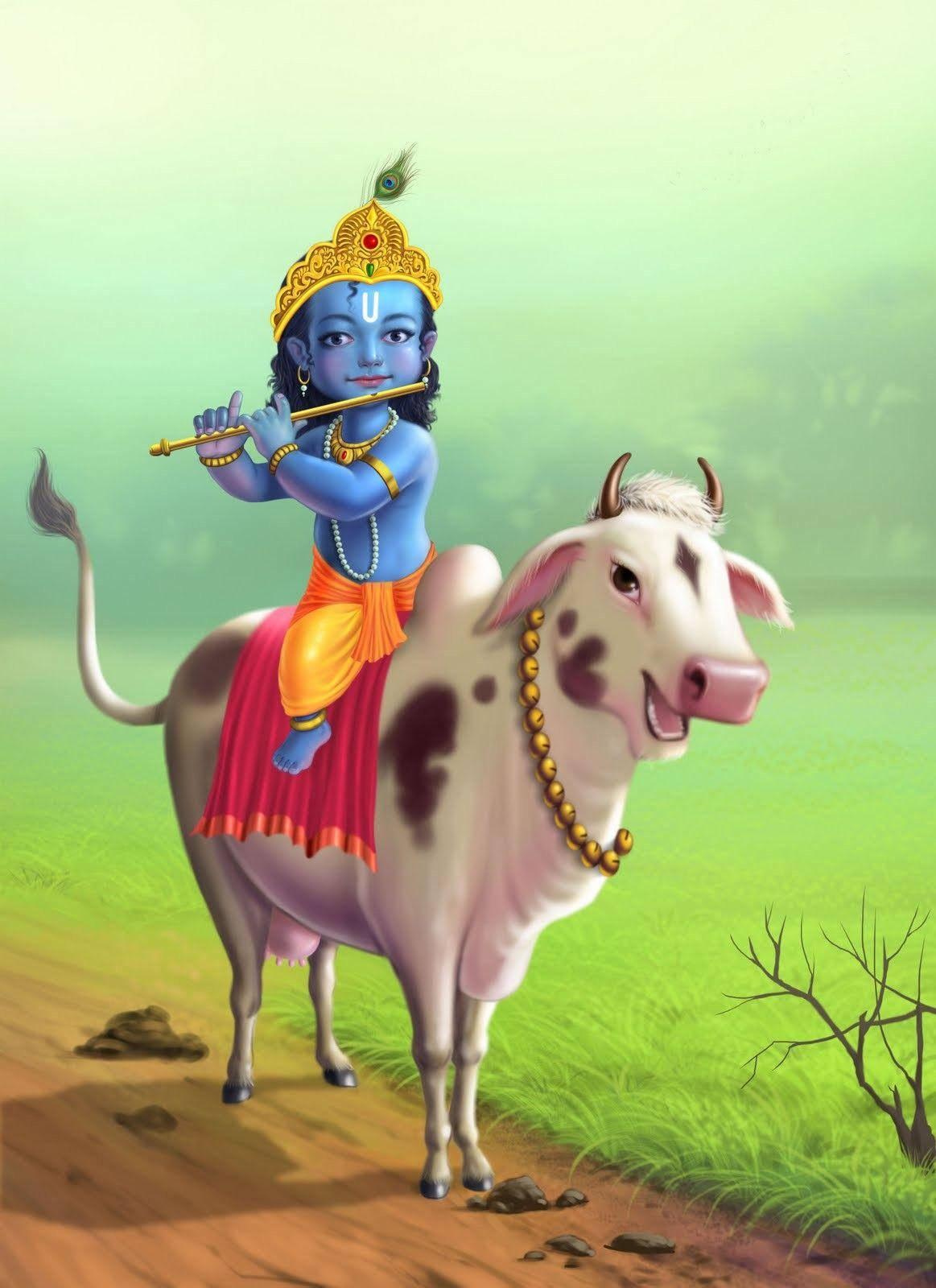 Little Krishna In Cow — 1163x1600 wallpaper