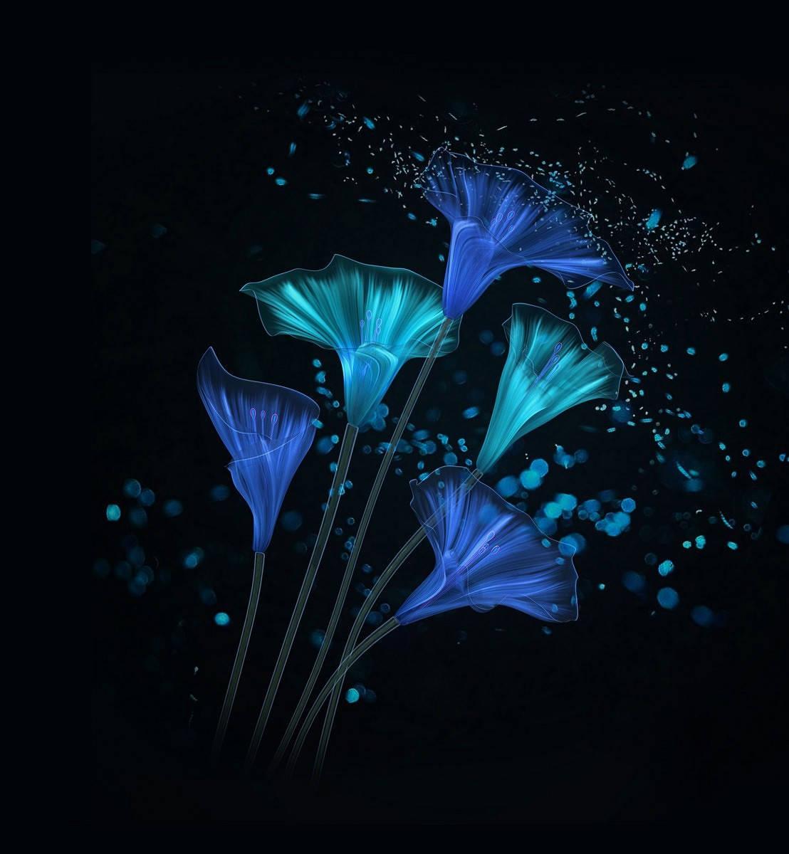 Live in Color and Live in Beauty — 1108x1200 wallpaper