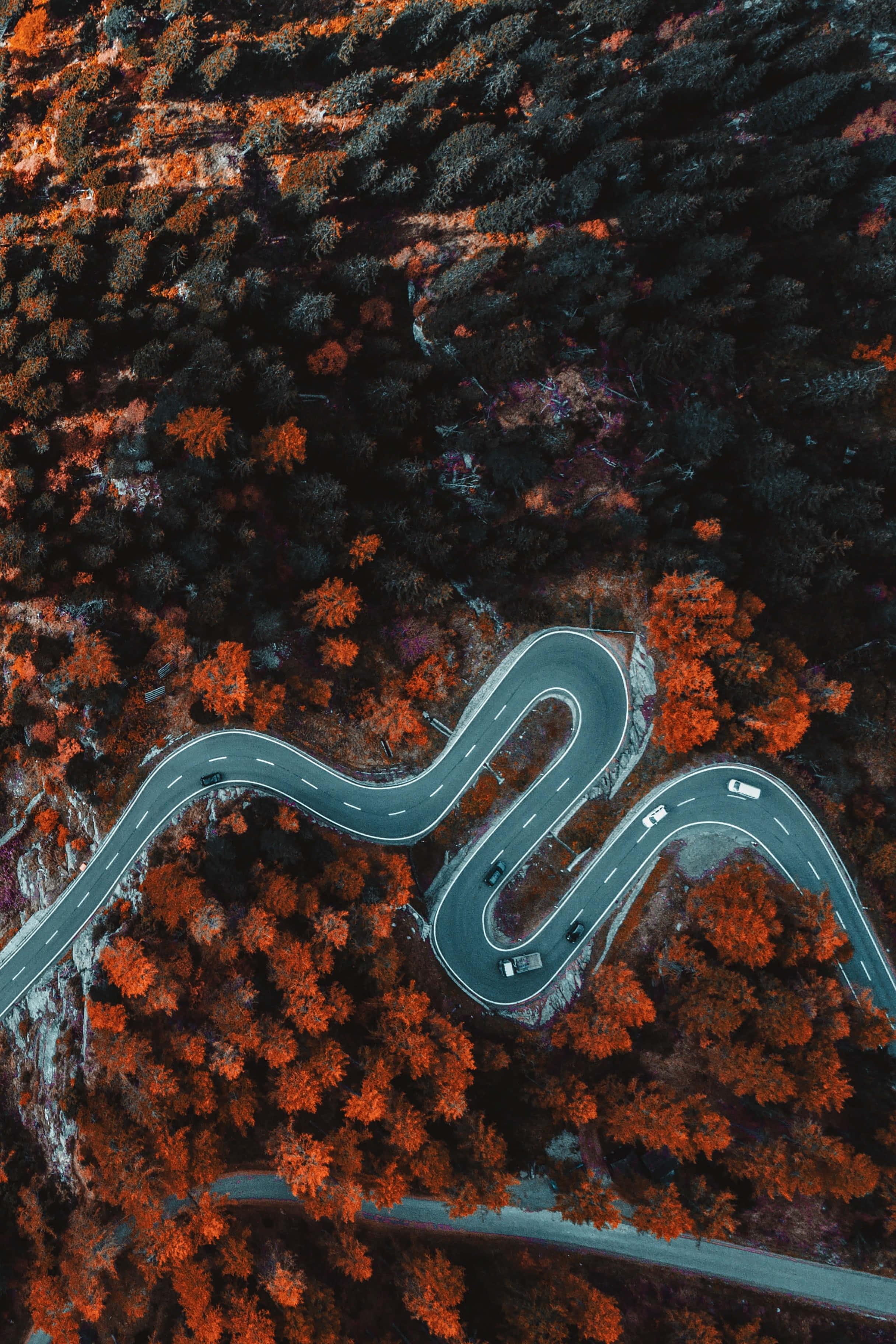 Lock Screen background — 2432x3648 wallpaper