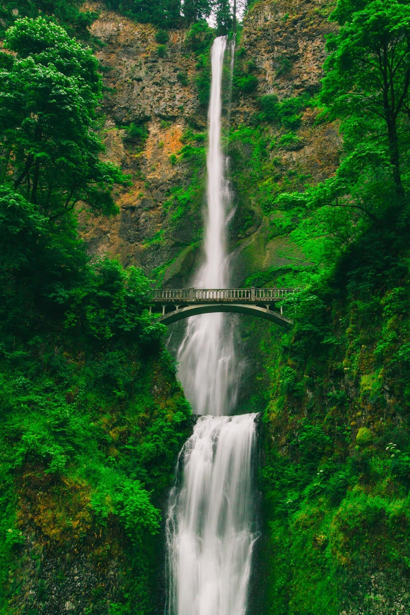 Lock Screen background — 1333x2000 wallpaper