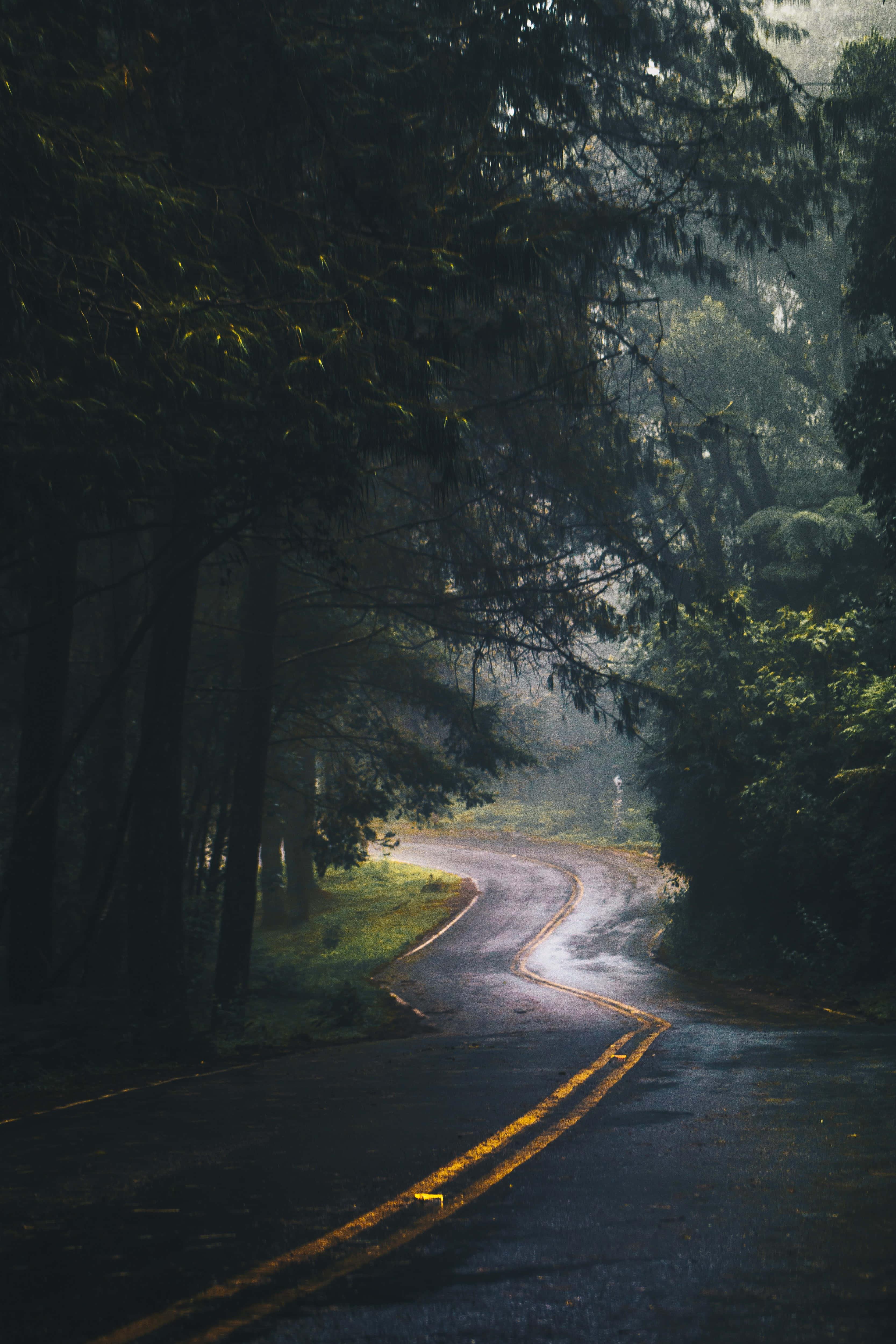 Lock Screen background — 3333x5000 wallpaper