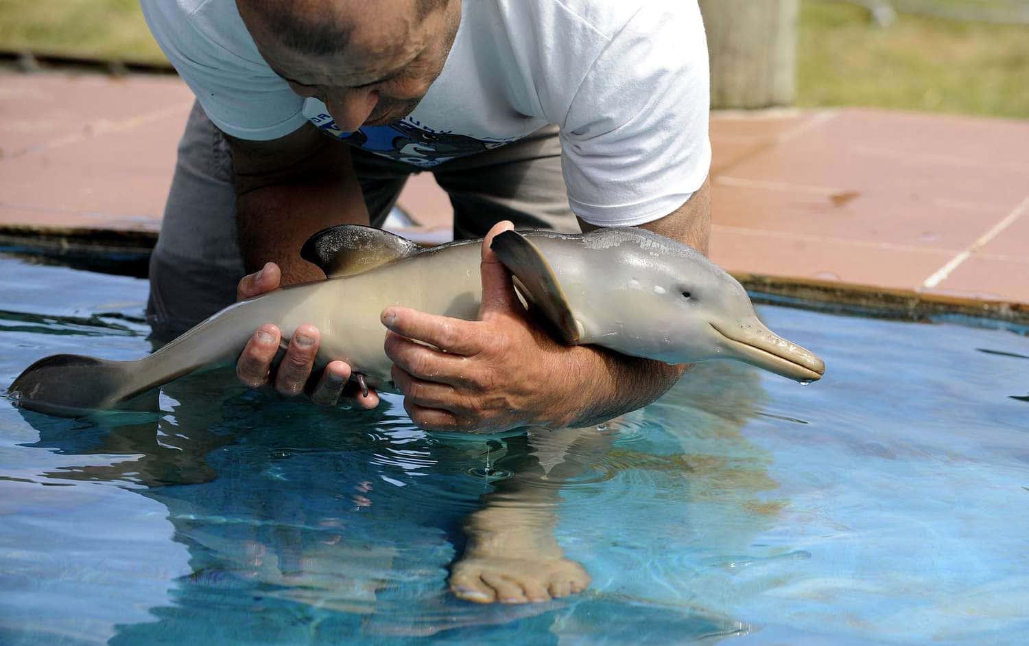 Look at these Adorable Friends! — 1500x941 wallpaper