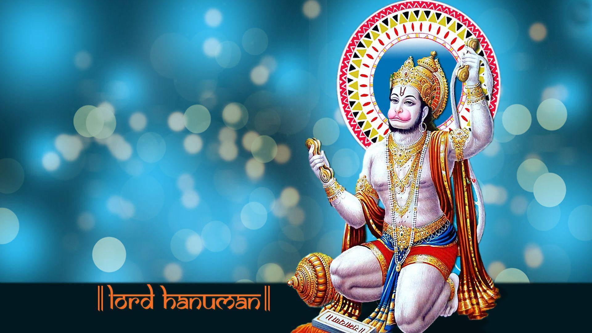Herre hanuman knelende hd
