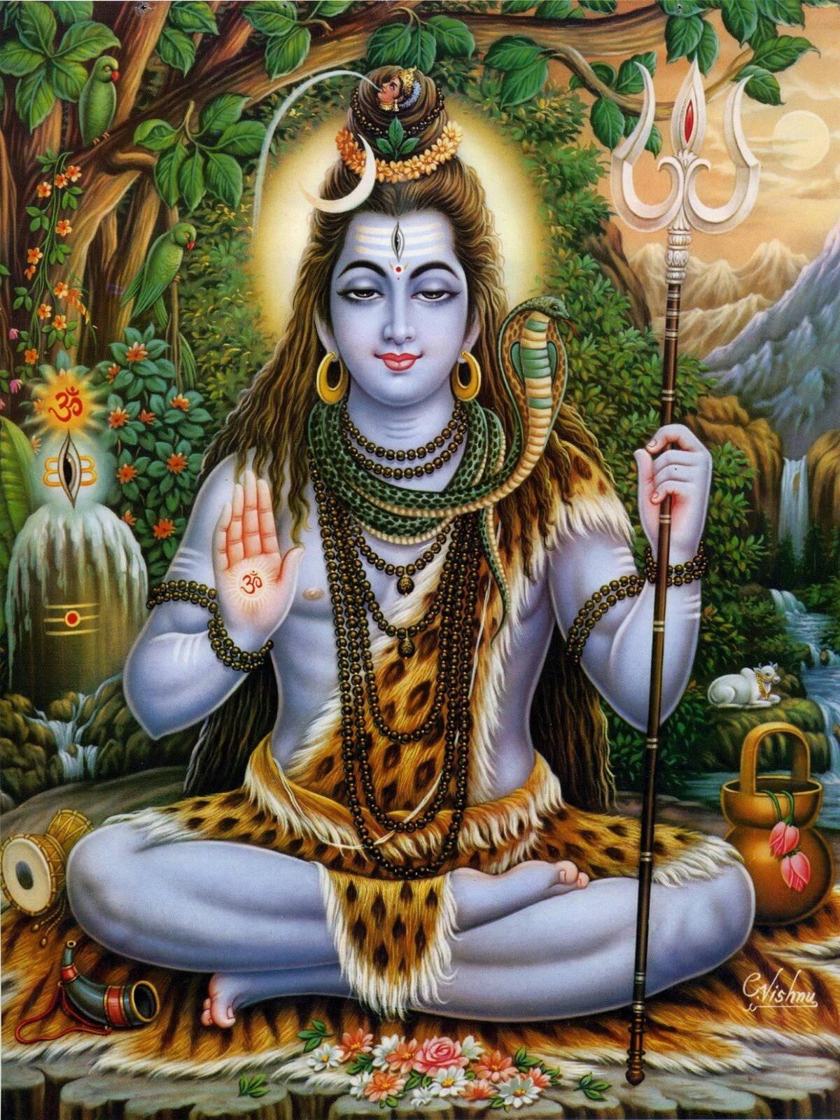 Lord Shiva In Nature — 1200x1600 wallpaper