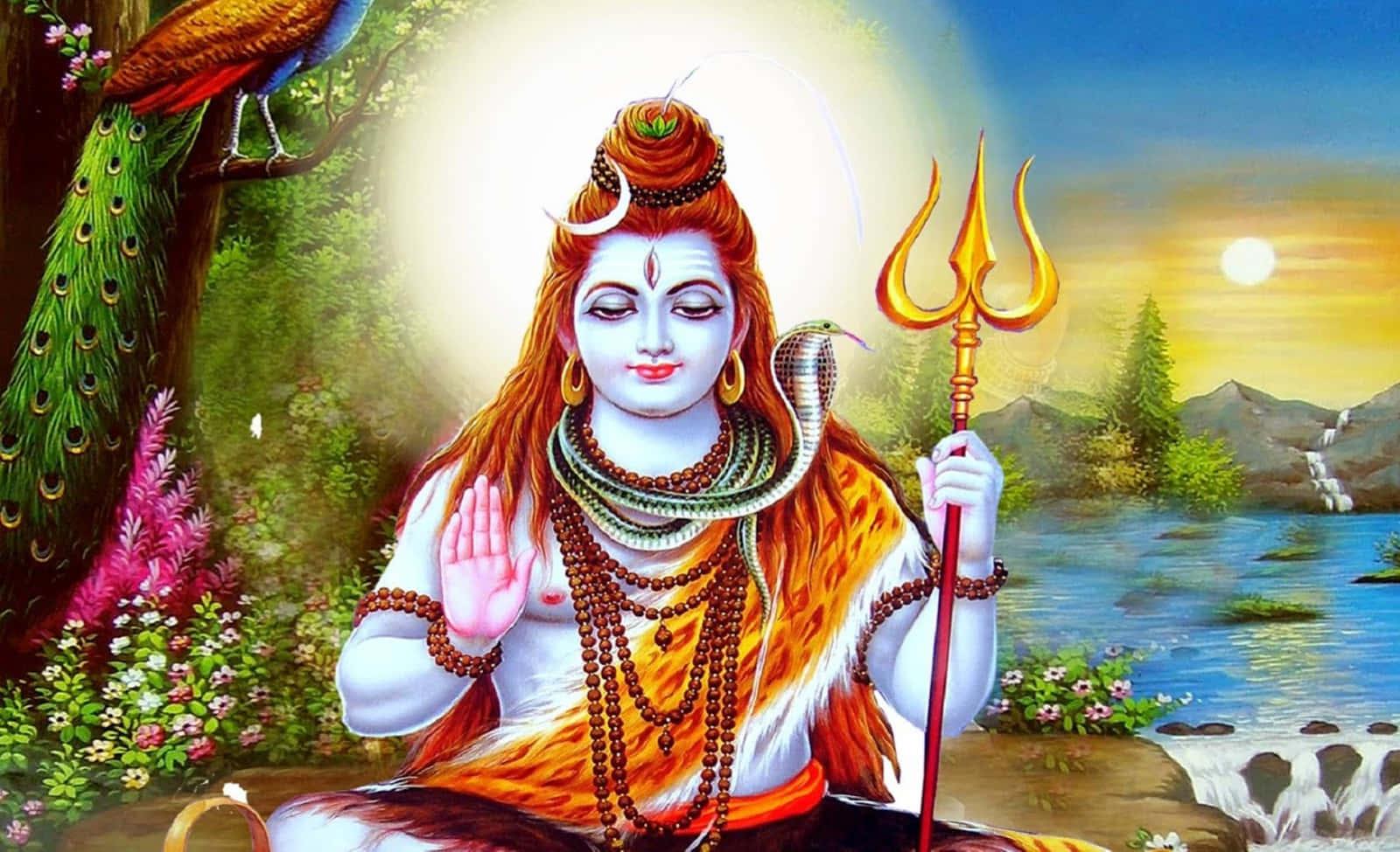lord shiva sitting on the ground with a bird — 1600x975 wallpaper