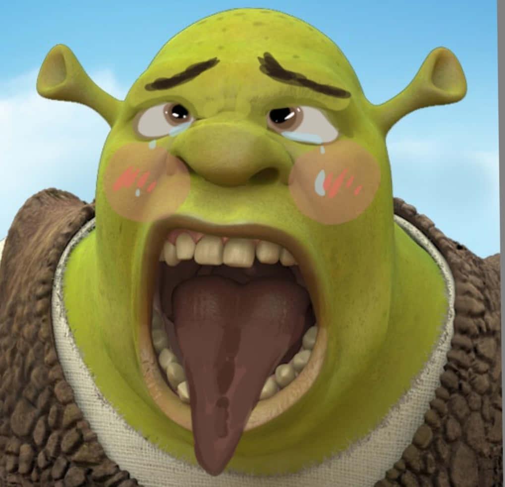 Love and laughter: Shrek strikes another endearing pose! — 1019x983 wallpaper