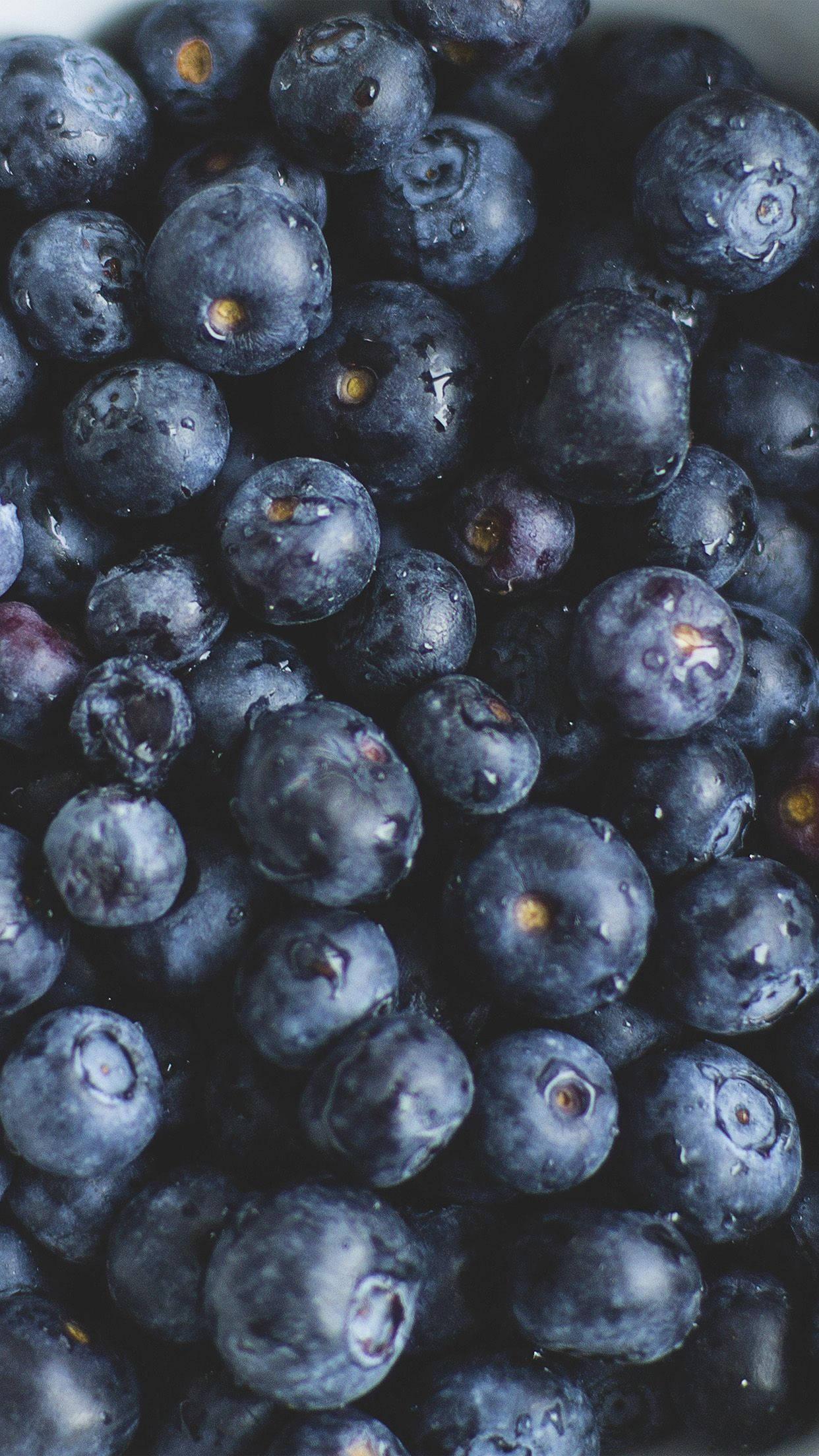 Macro Blueberries Oppo A5s — 1242x2208 wallpaper