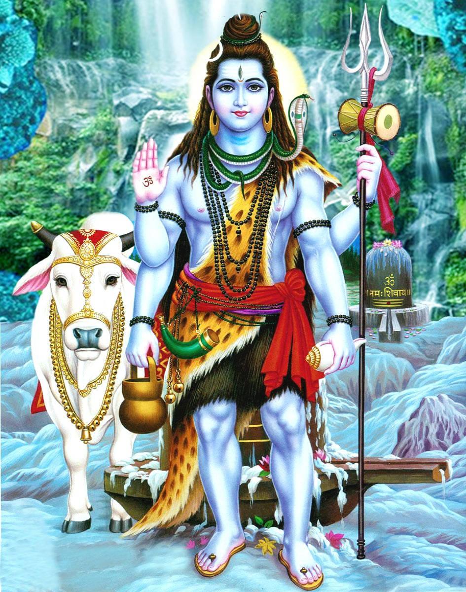 Mahadev Standing With A Cow HD