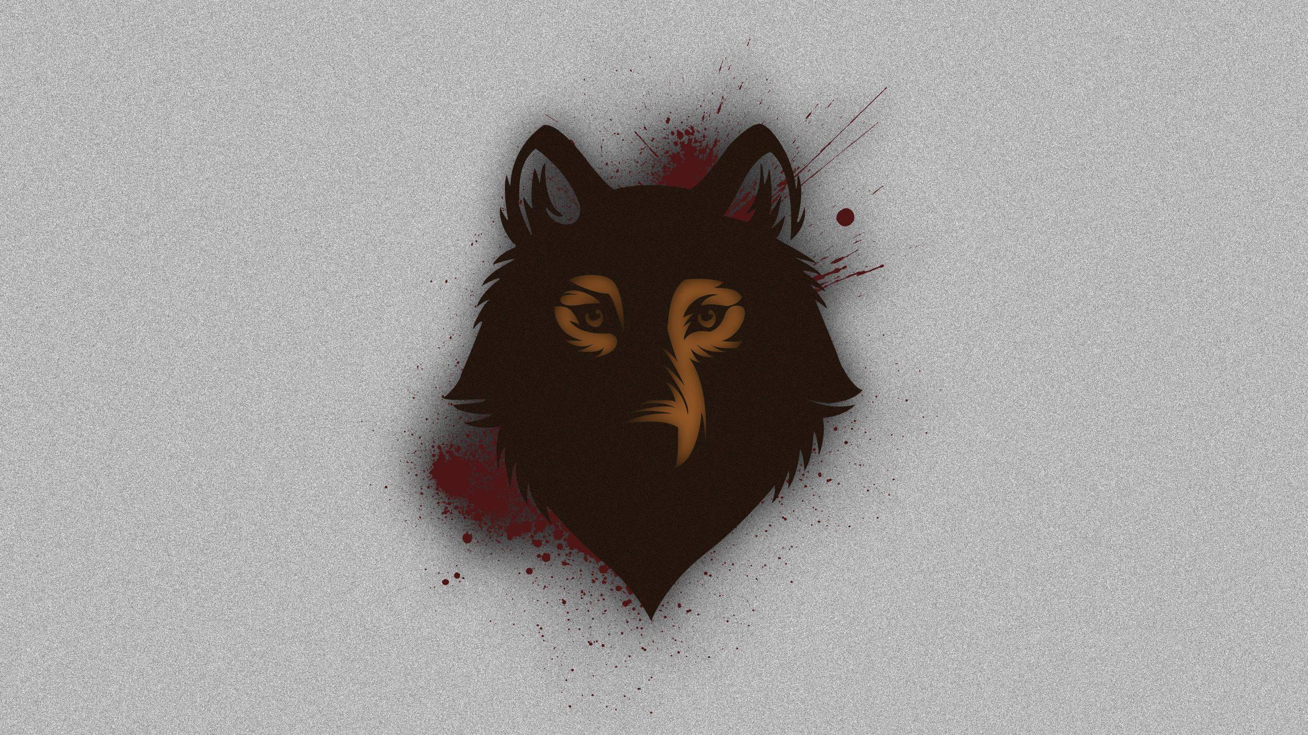 Majestic Brown Wolf against the Misty Night — 2560x1440 wallpaper