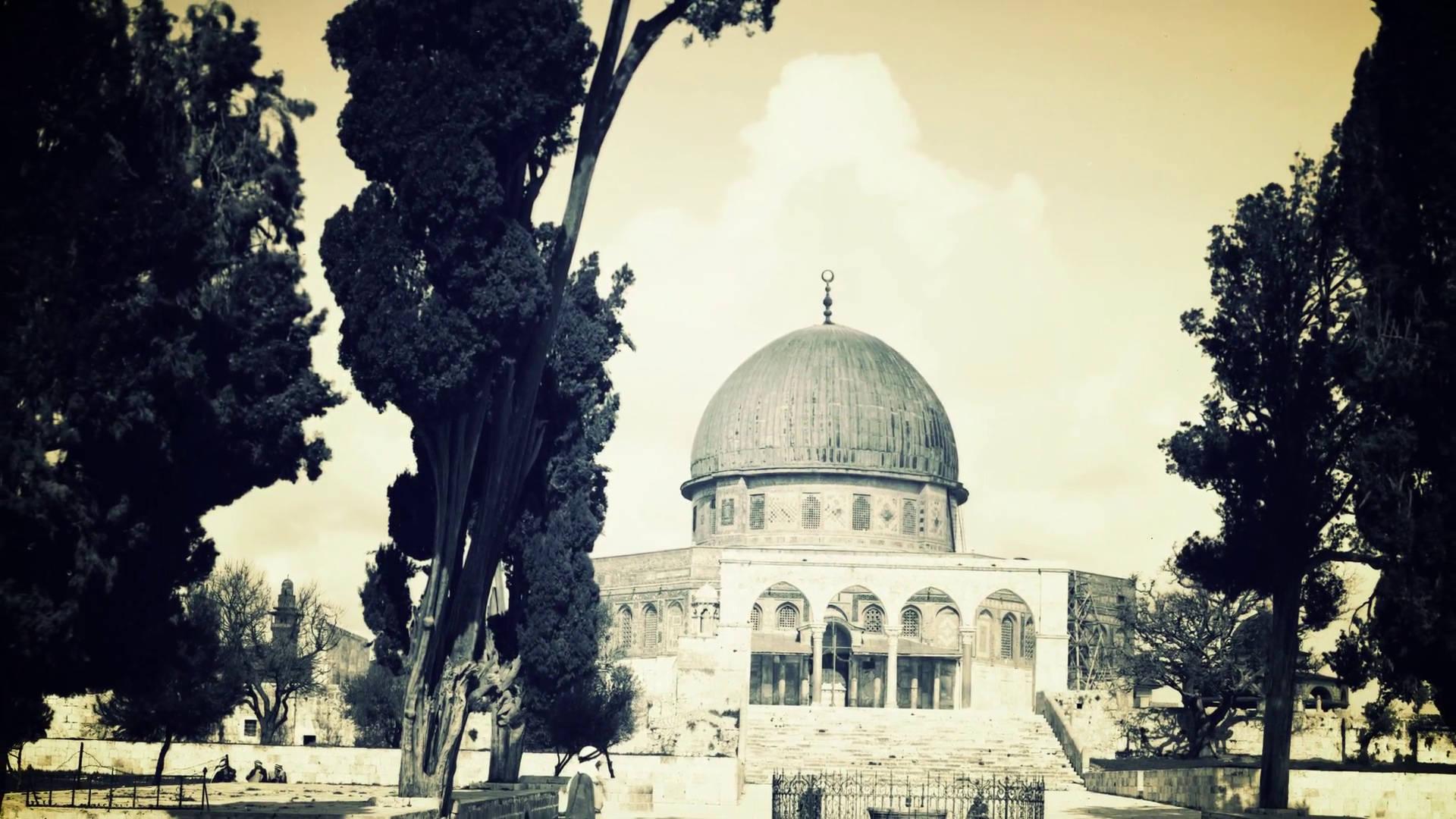 Majestic Mosque Amidst the Old Structures of Palestine — 1920x1080 wallpaper