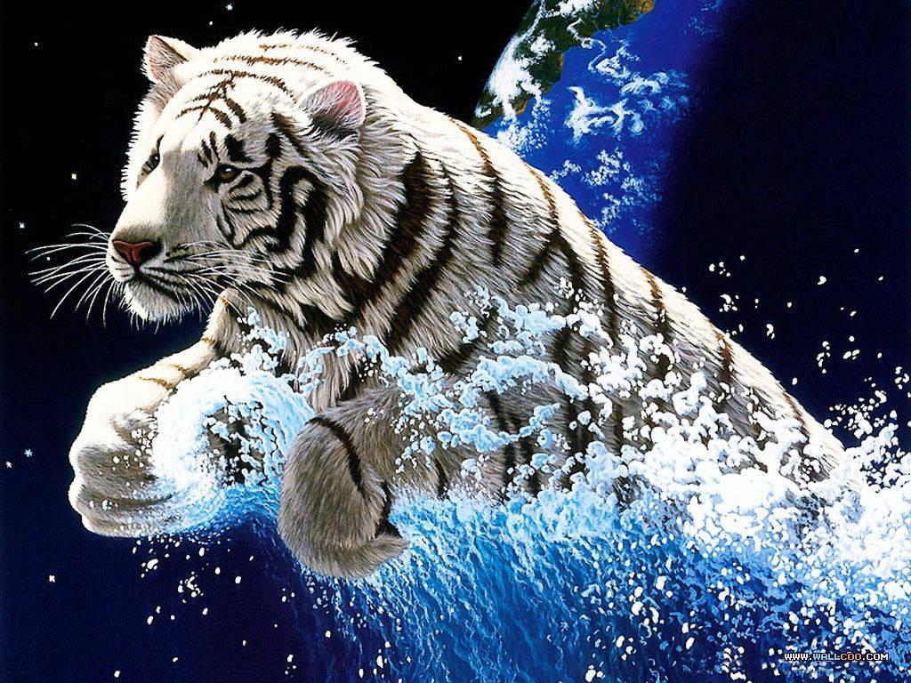 Majestic White Tiger stands atop a rock — 1024x768 wallpaper