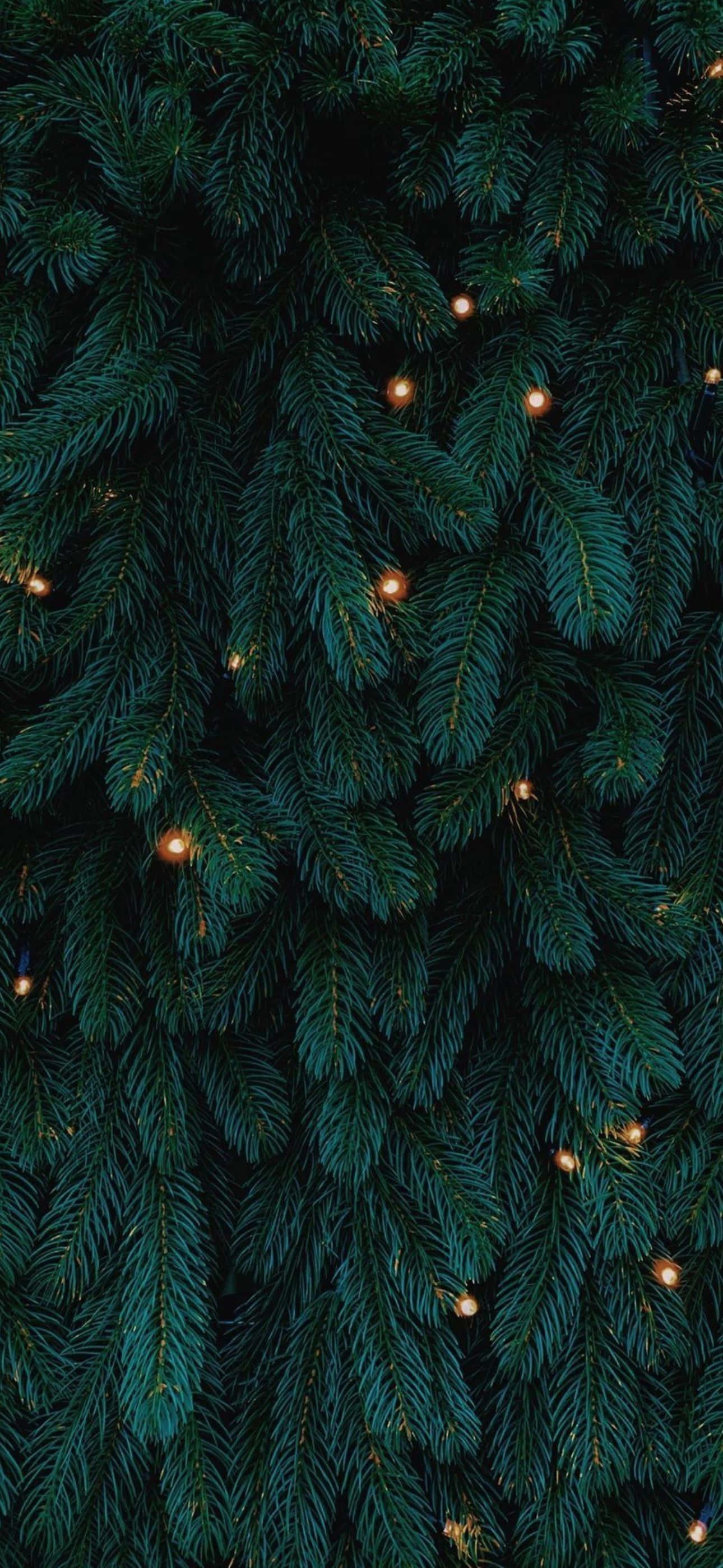 Make your iPhone look festive this Christmas! — 1290x2796 wallpaper