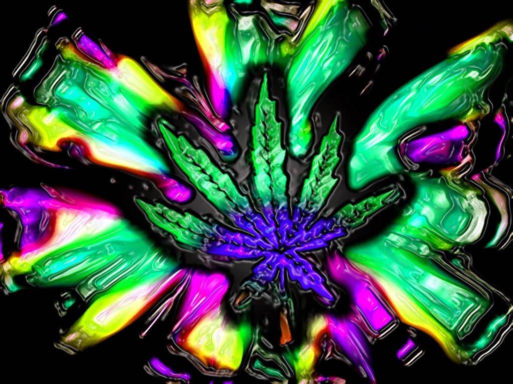 Marijuana Arising — 1024x768 wallpaper