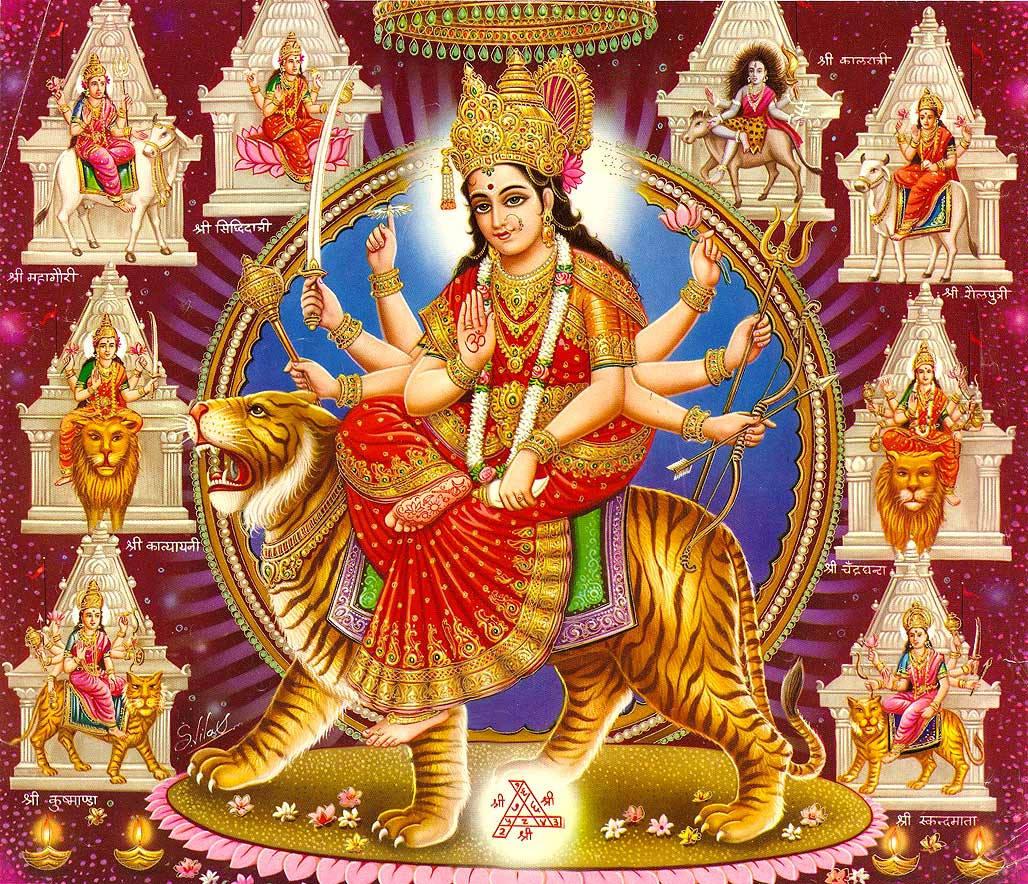 Mata Rani Different Animals Versions — 1028x884 wallpaper