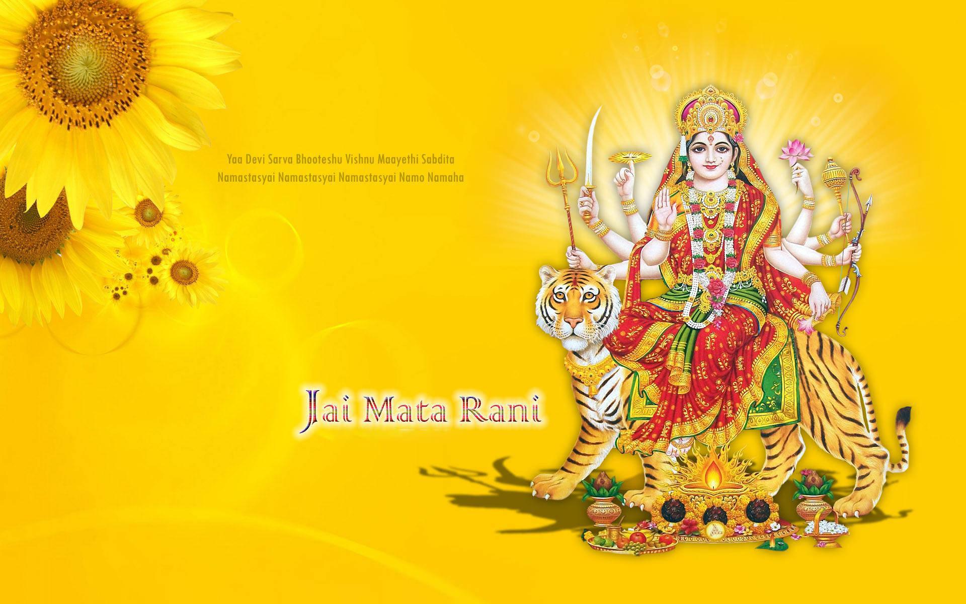 Mata Rani Sunflower Background — 1920x1200 wallpaper