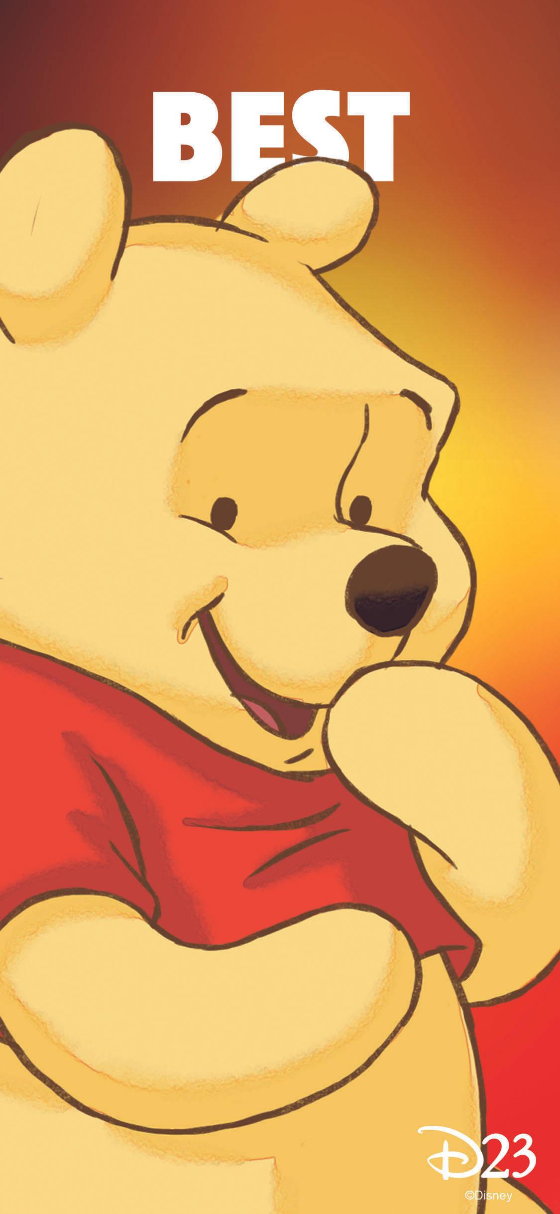 Matching BFF Pooh And Tigger — 1125x2436 wallpaper