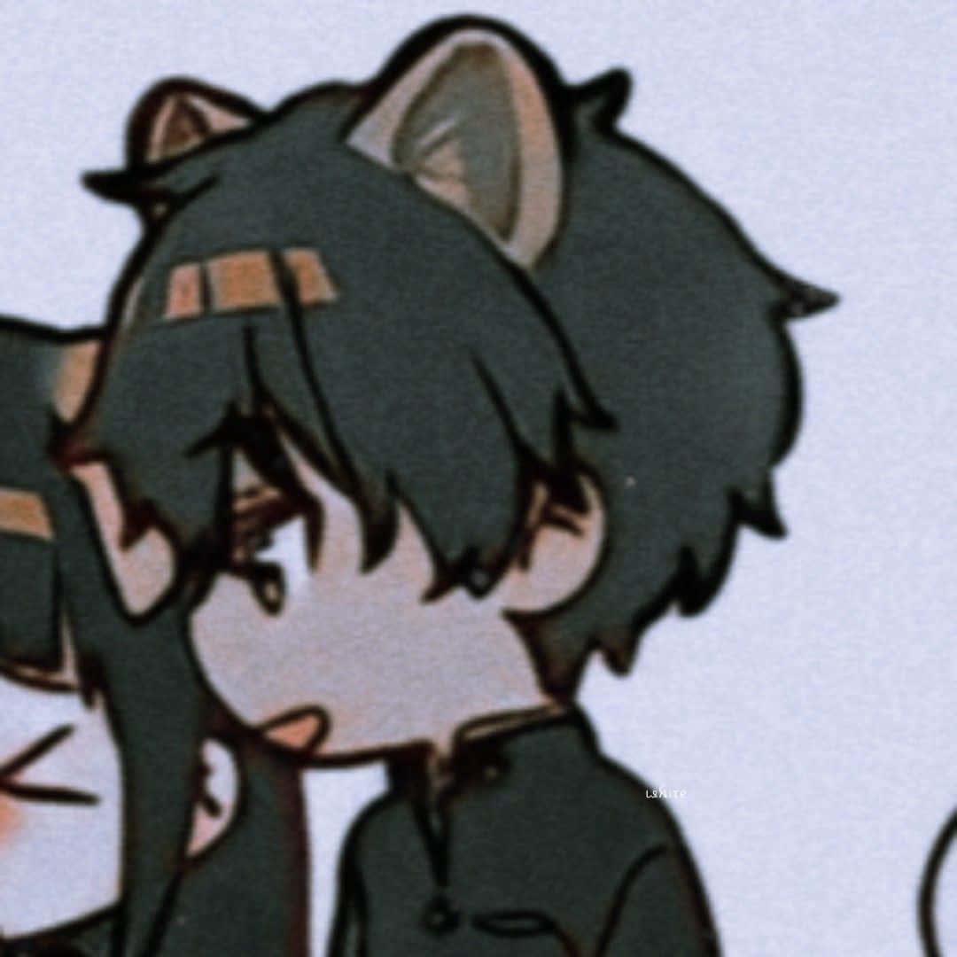 Matching Couple Pfp Anime Cat Boy — 1080x1080 wallpaper