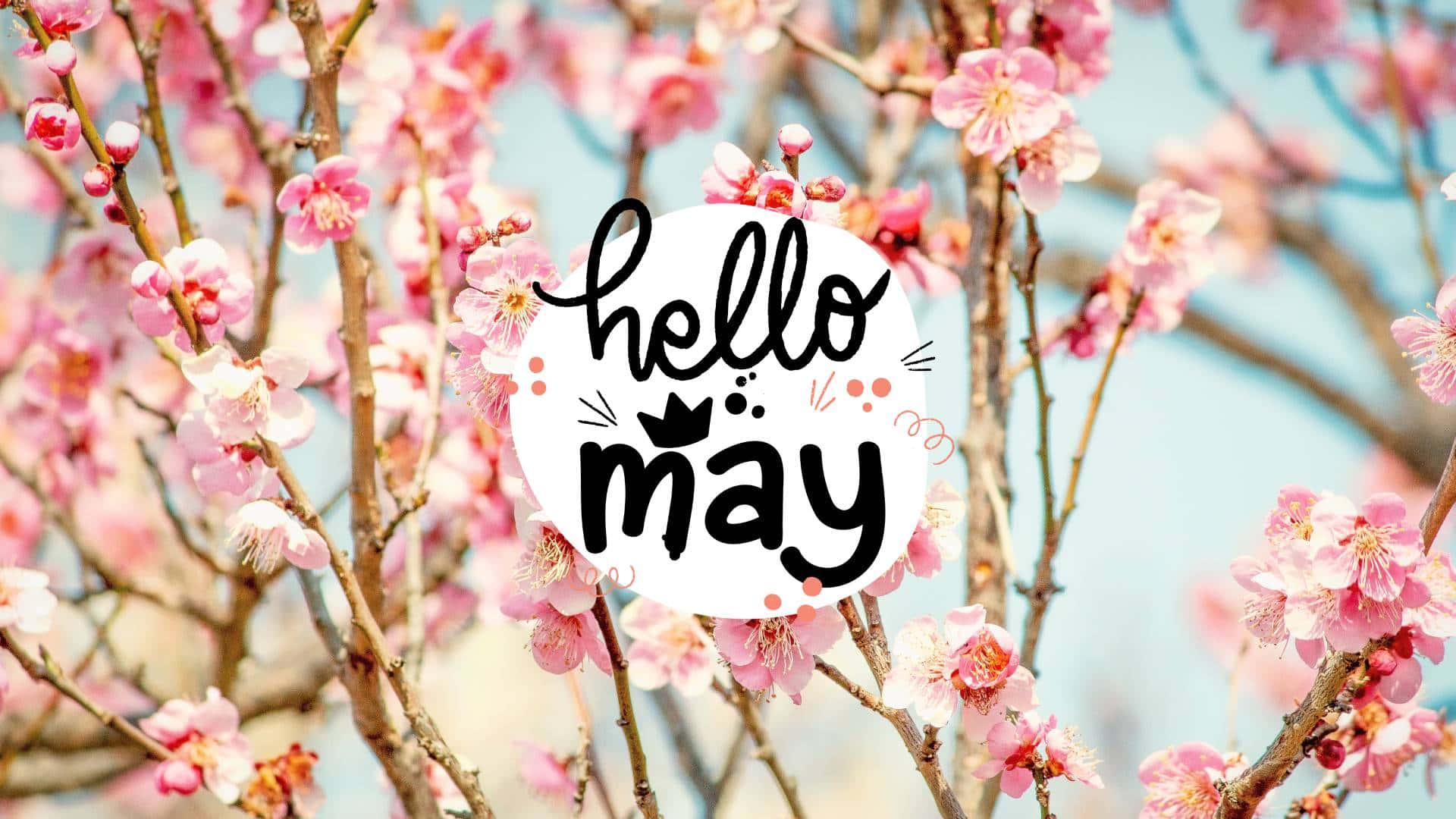 May Background — 1920x1080 wallpaper