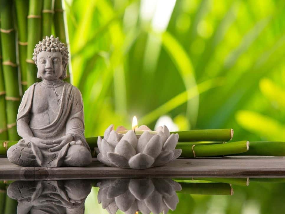 Meditating next to a tranquil lake, the ancient wisdom of an enlightened Buddha. — 966x724 wallpaper