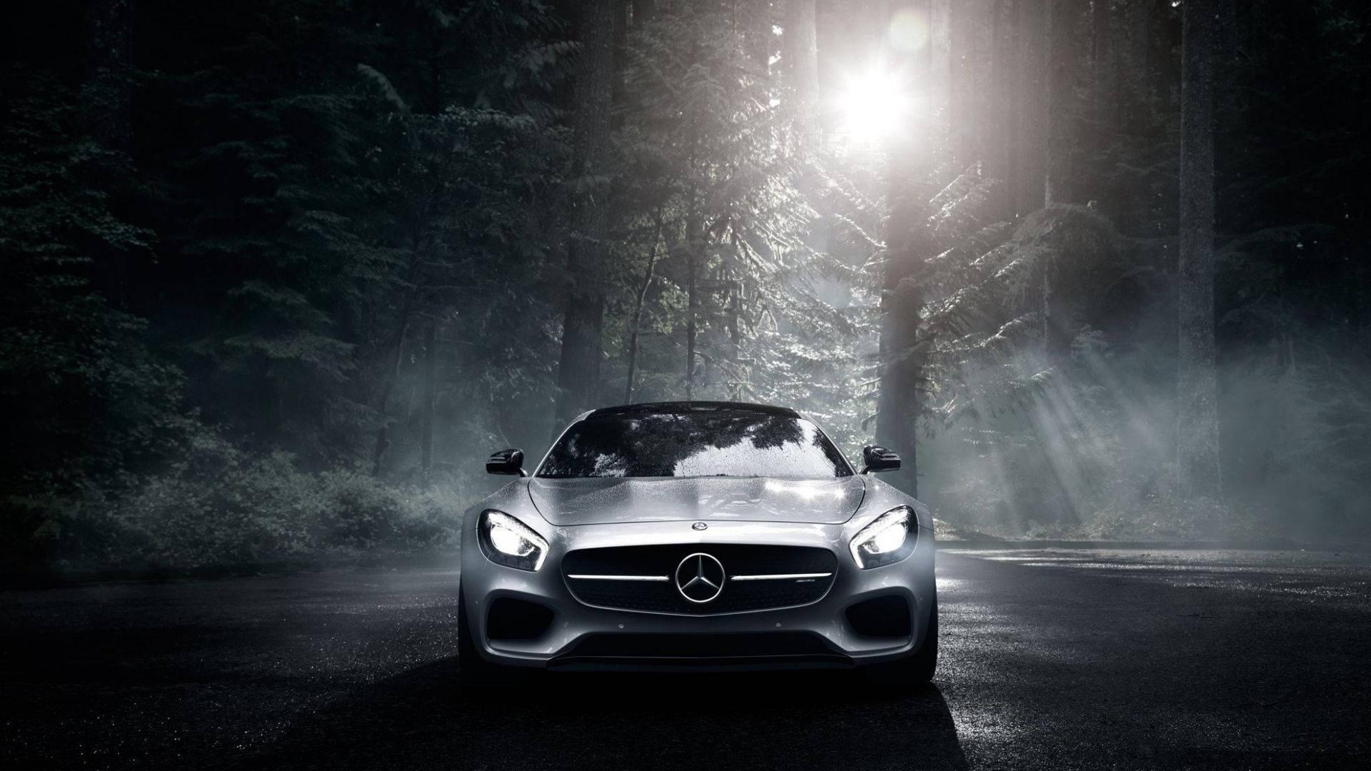 Mercedes Benz In Forest — 1920x1080 wallpaper