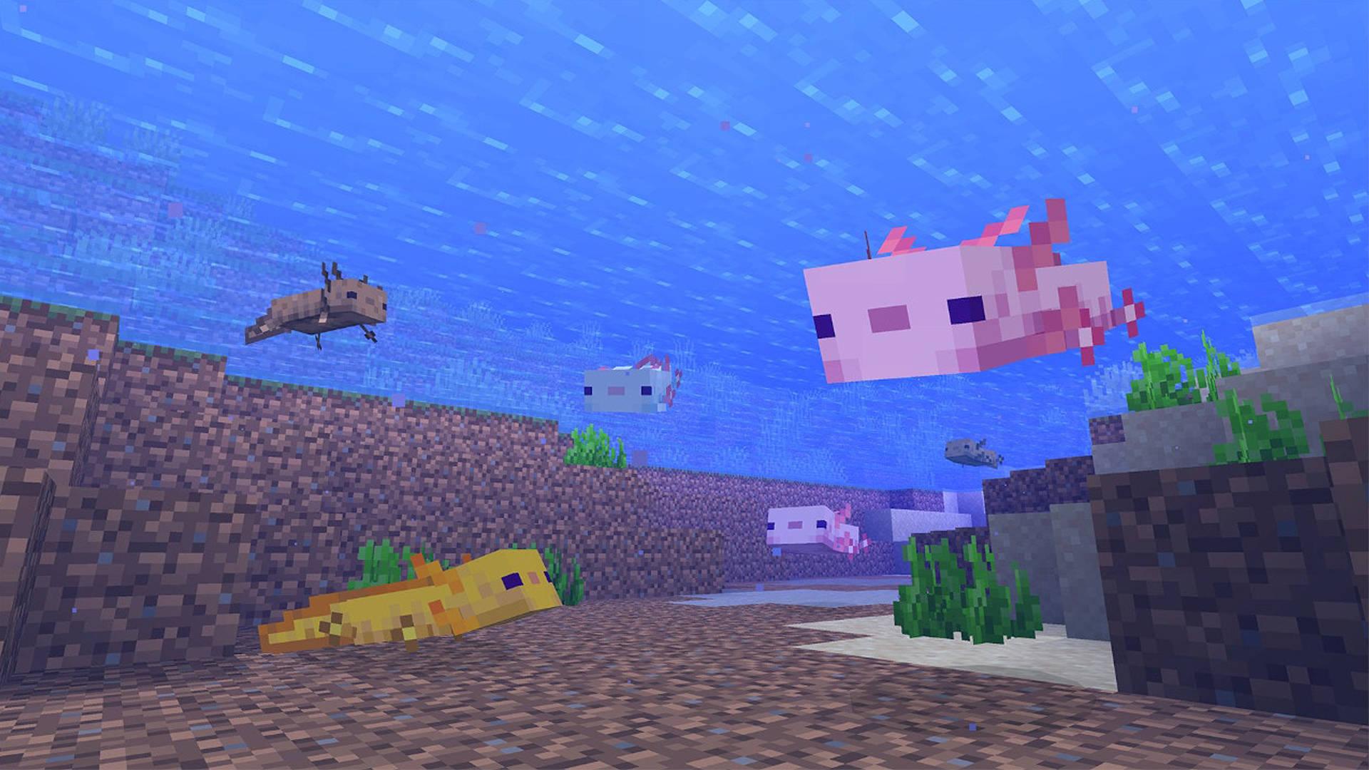 Minecraft Axolotls Underwater — 1920x1080 wallpaper