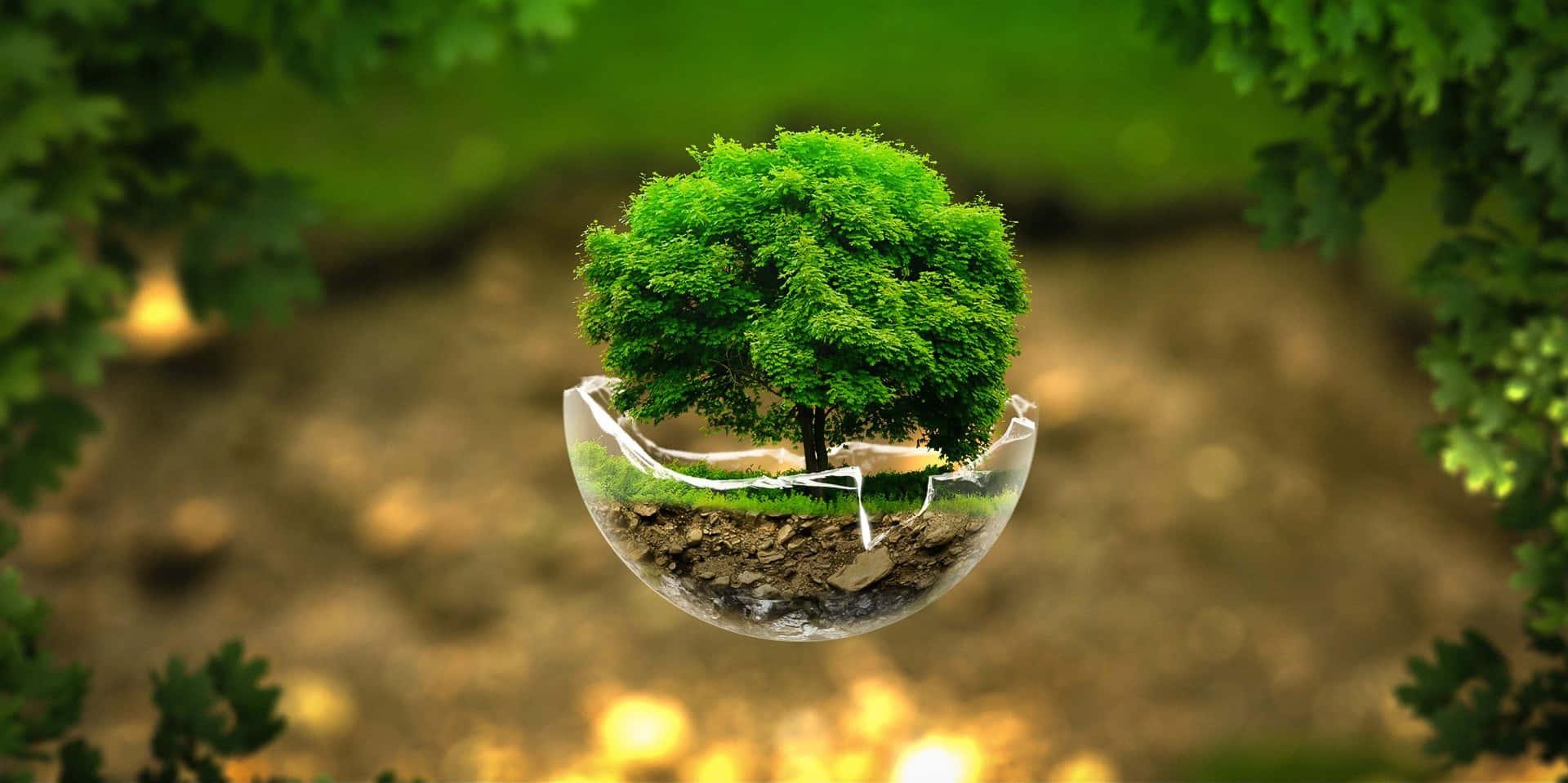Miniature Of A Nature picture — 1920x959 wallpaper