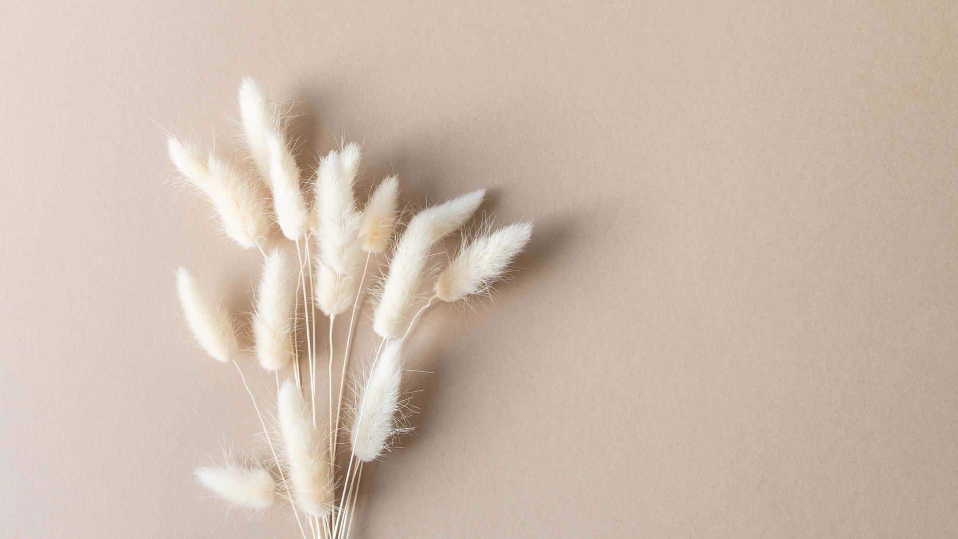 Minimalist background — 1920x1080 wallpaper