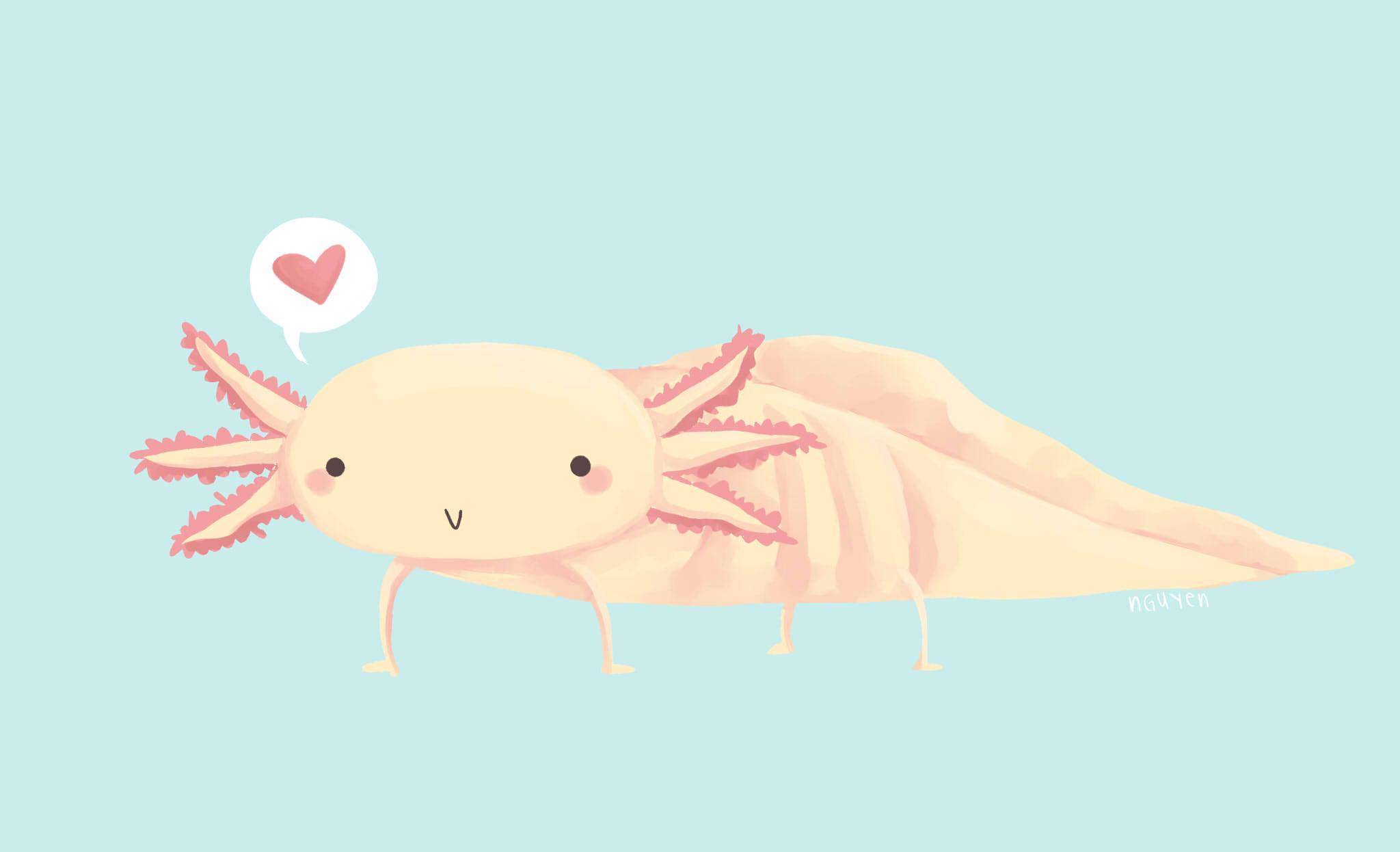 Minimalist Pink Axolotl In Blue — 2048x1246 wallpaper