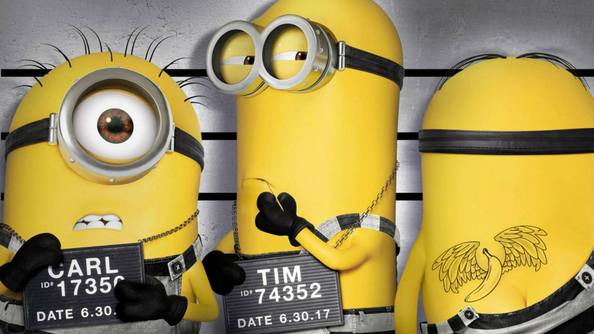 Minions In Jail — 1920x1080 wallpaper