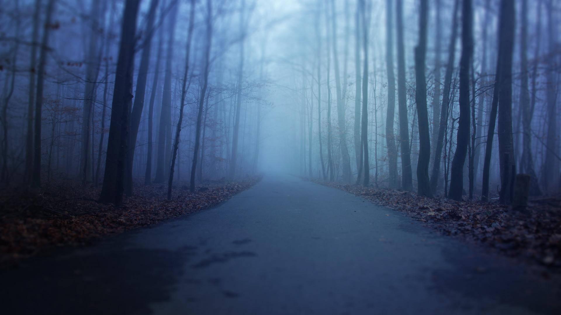 Misty Road Forest Scary — 1920x1080 wallpaper