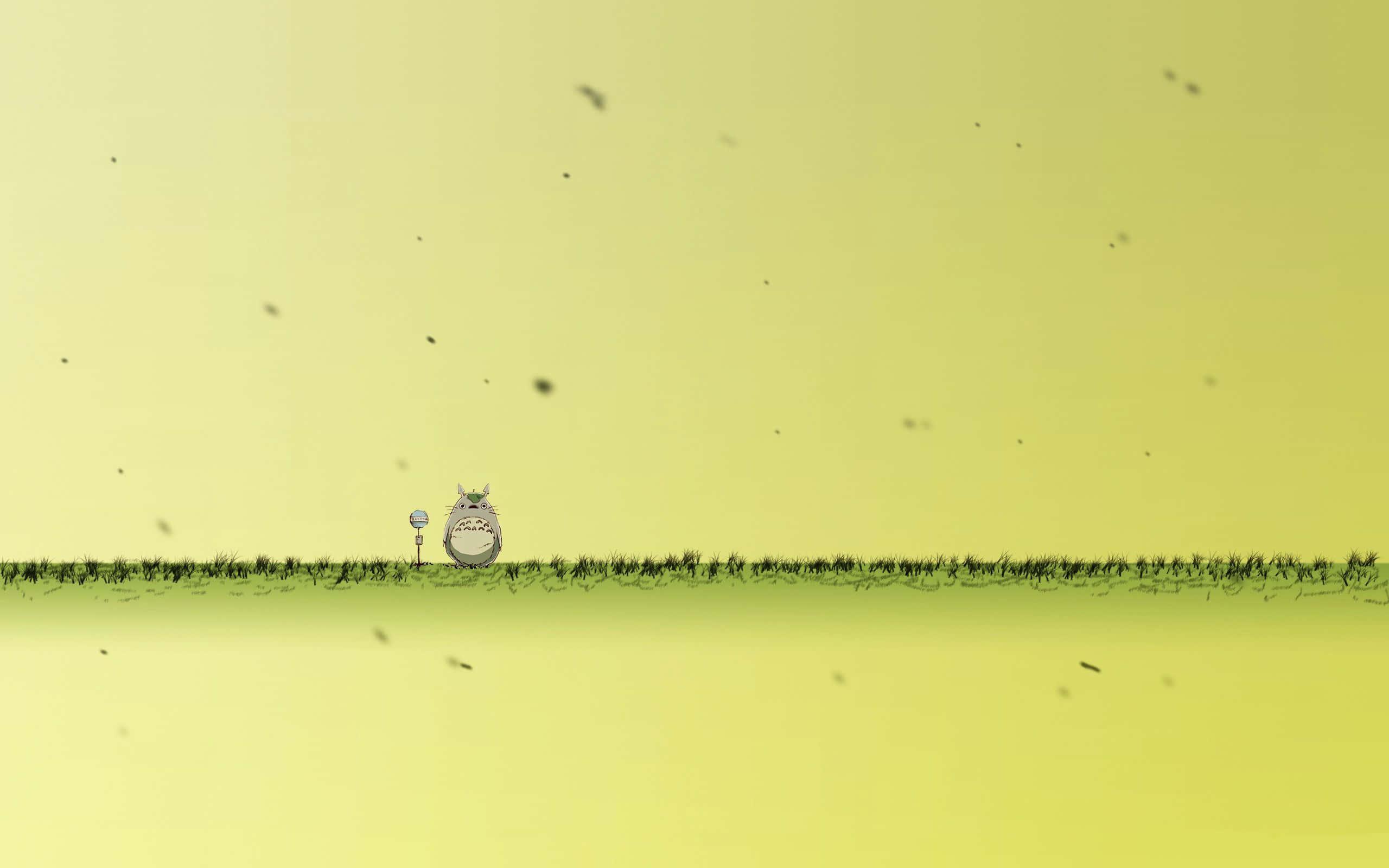 Miyazaki's beloved classic: a moment of joy with Totoro — 2560x1600 wallpaper