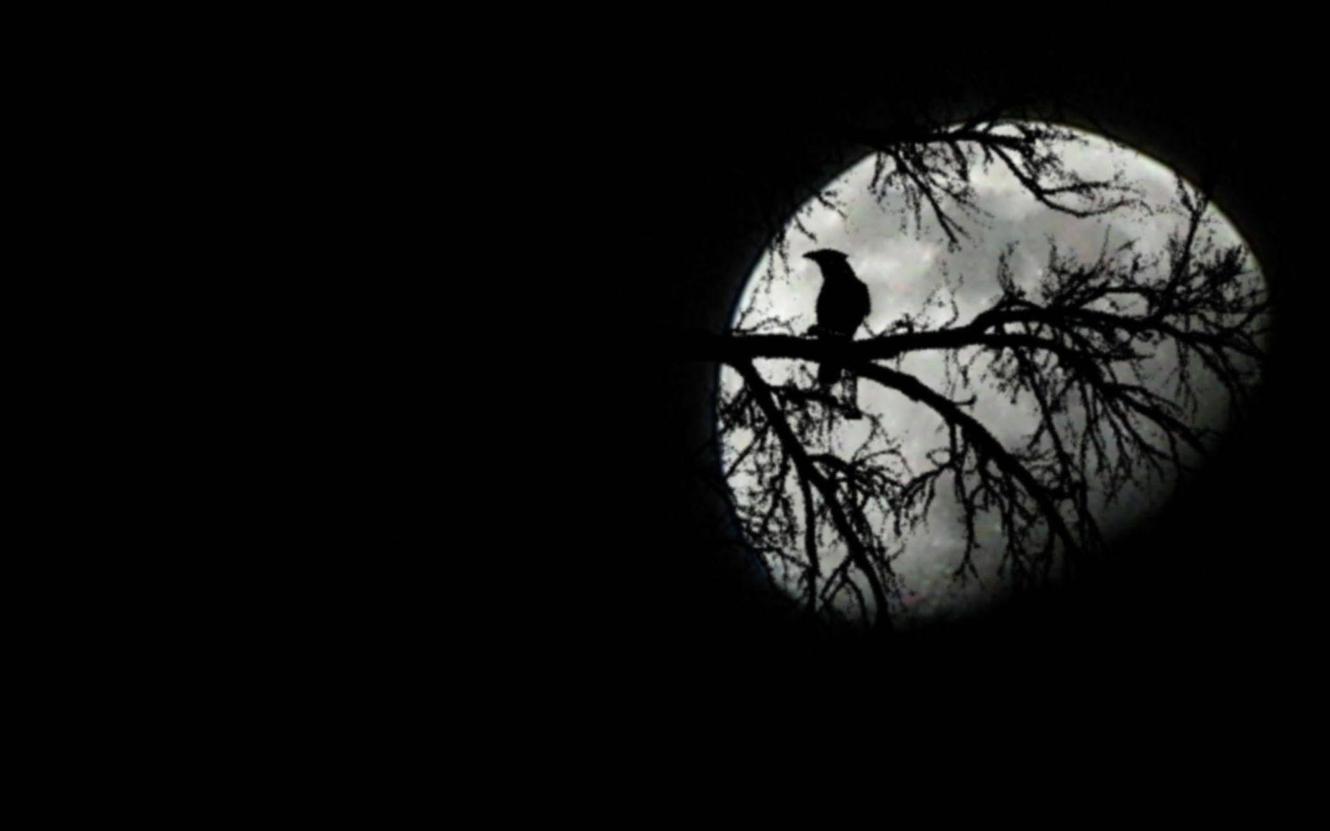 Moon — 1920x1200 wallpaper