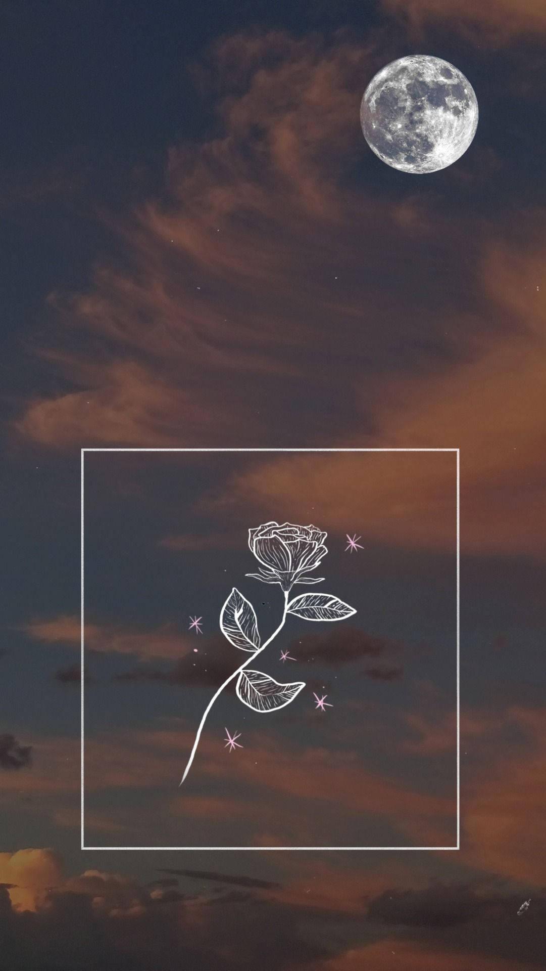 Moon Aesthetic Rose Sketch — 1081x1920 wallpaper