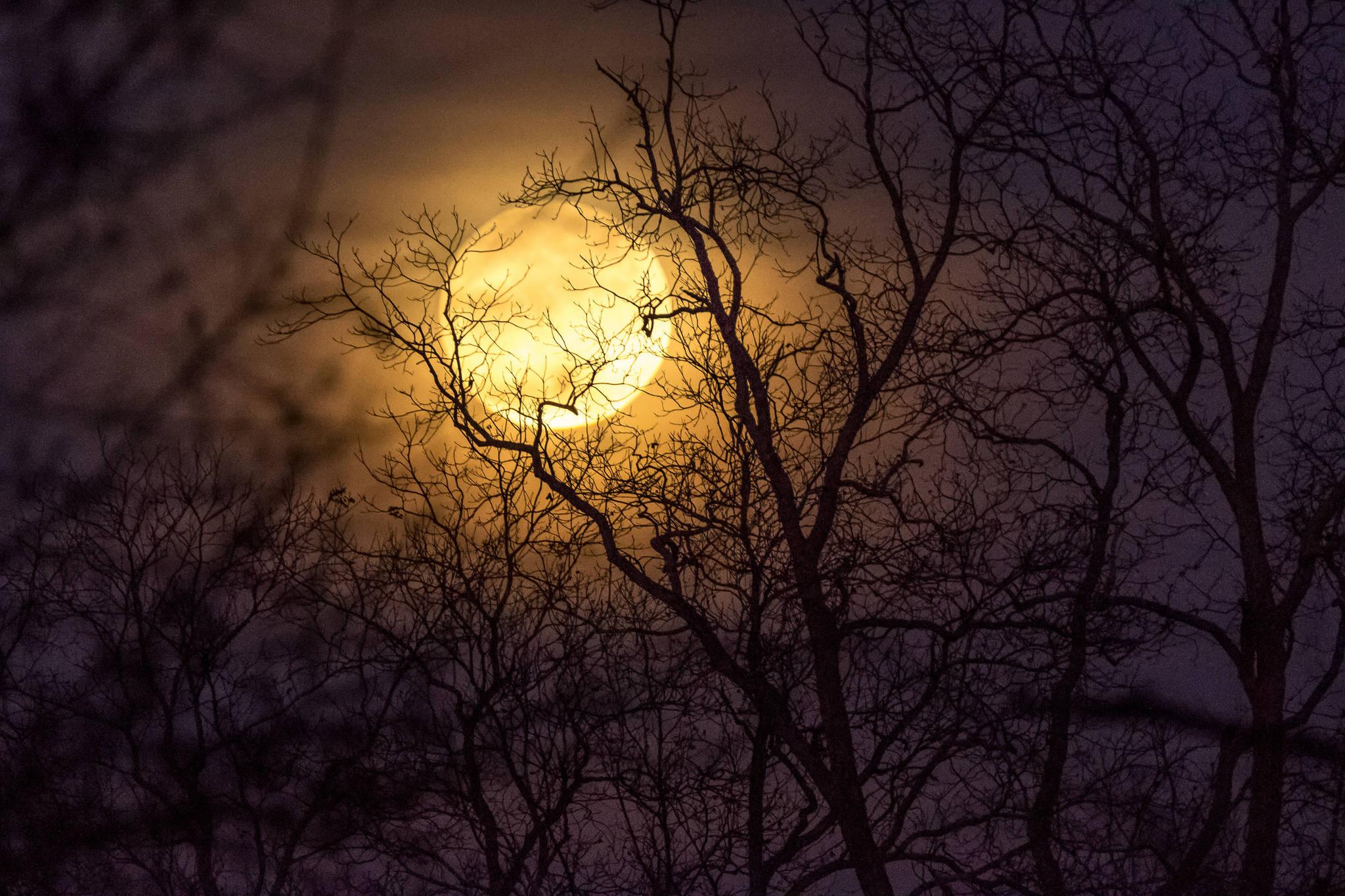 Moon — 2048x1365 wallpaper