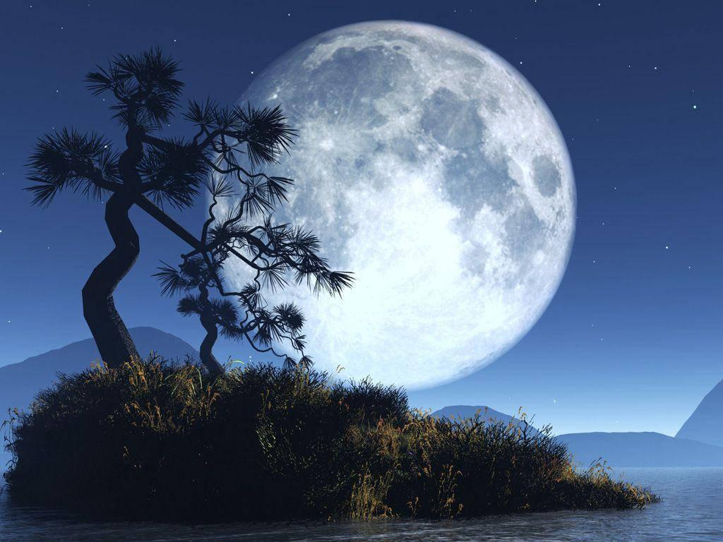 Moon — 1024x768 wallpaper
