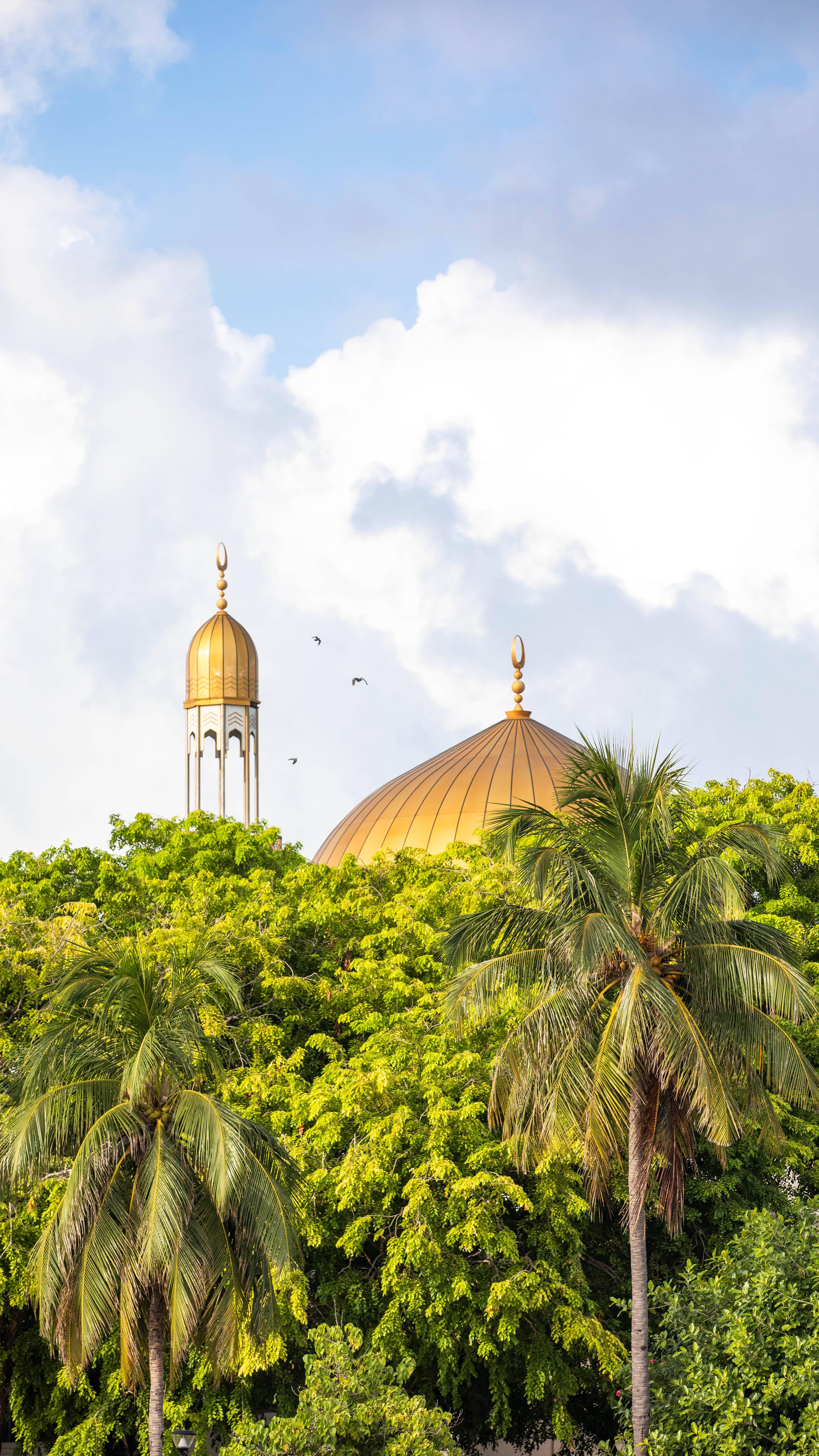 Mosque Of Allah Within Trees — 3773x6707 wallpaper
