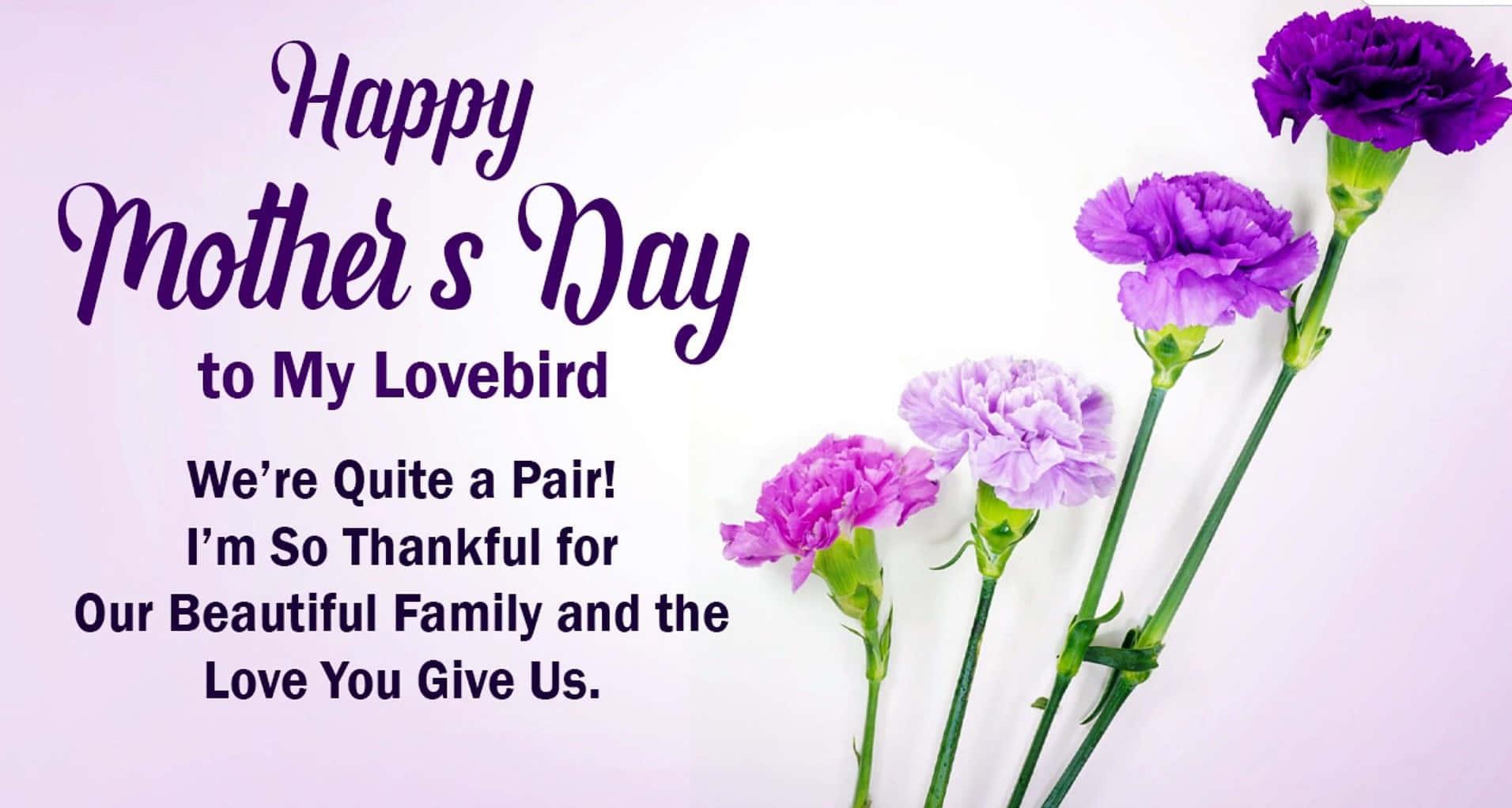 Mothers Day Wishes – Celebrate the timeless bond between maternal love and appreciation. — 1912x1022 wallpaper