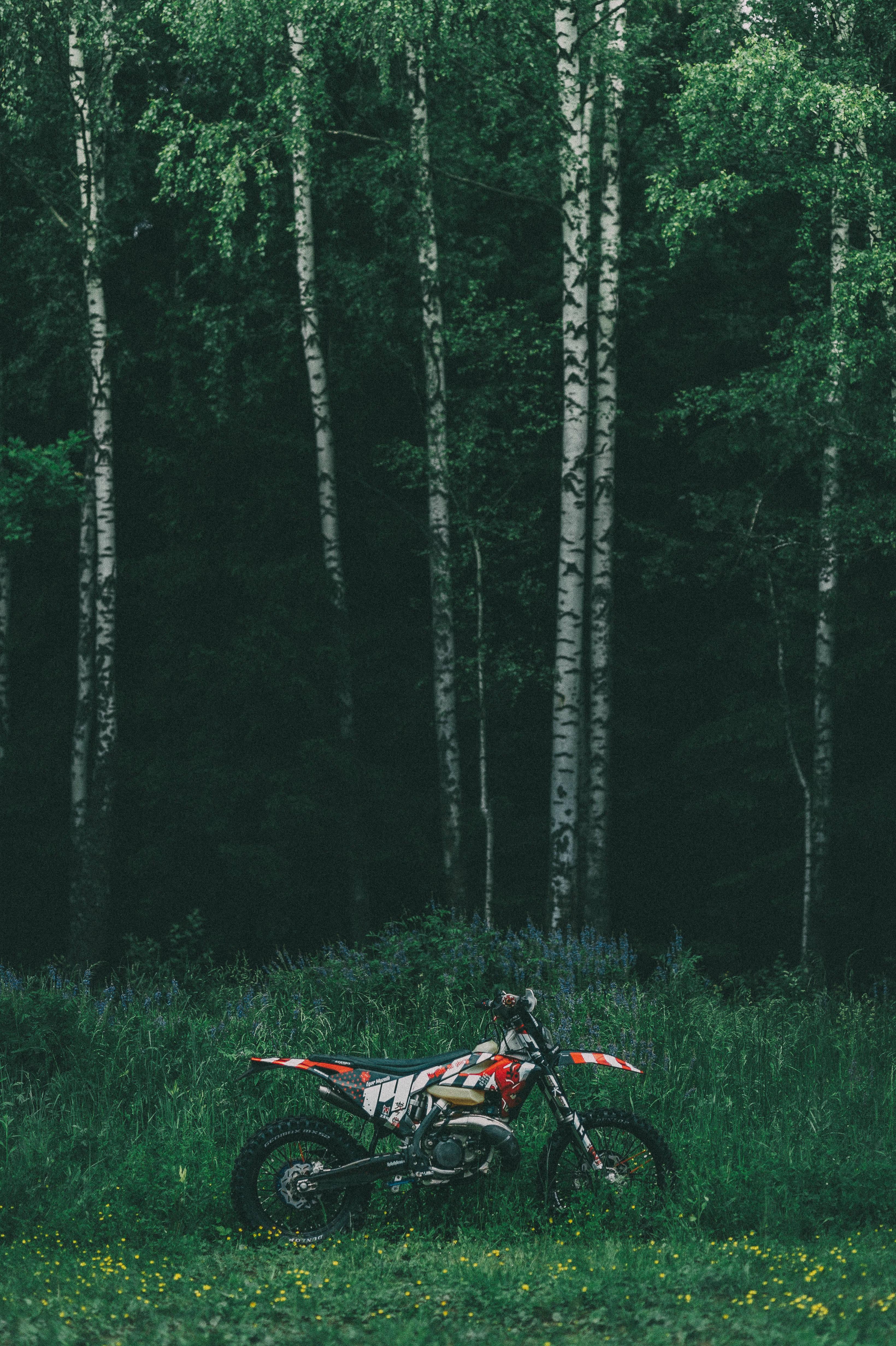 Motorcycle Over Forest View — 3280x4928 wallpaper