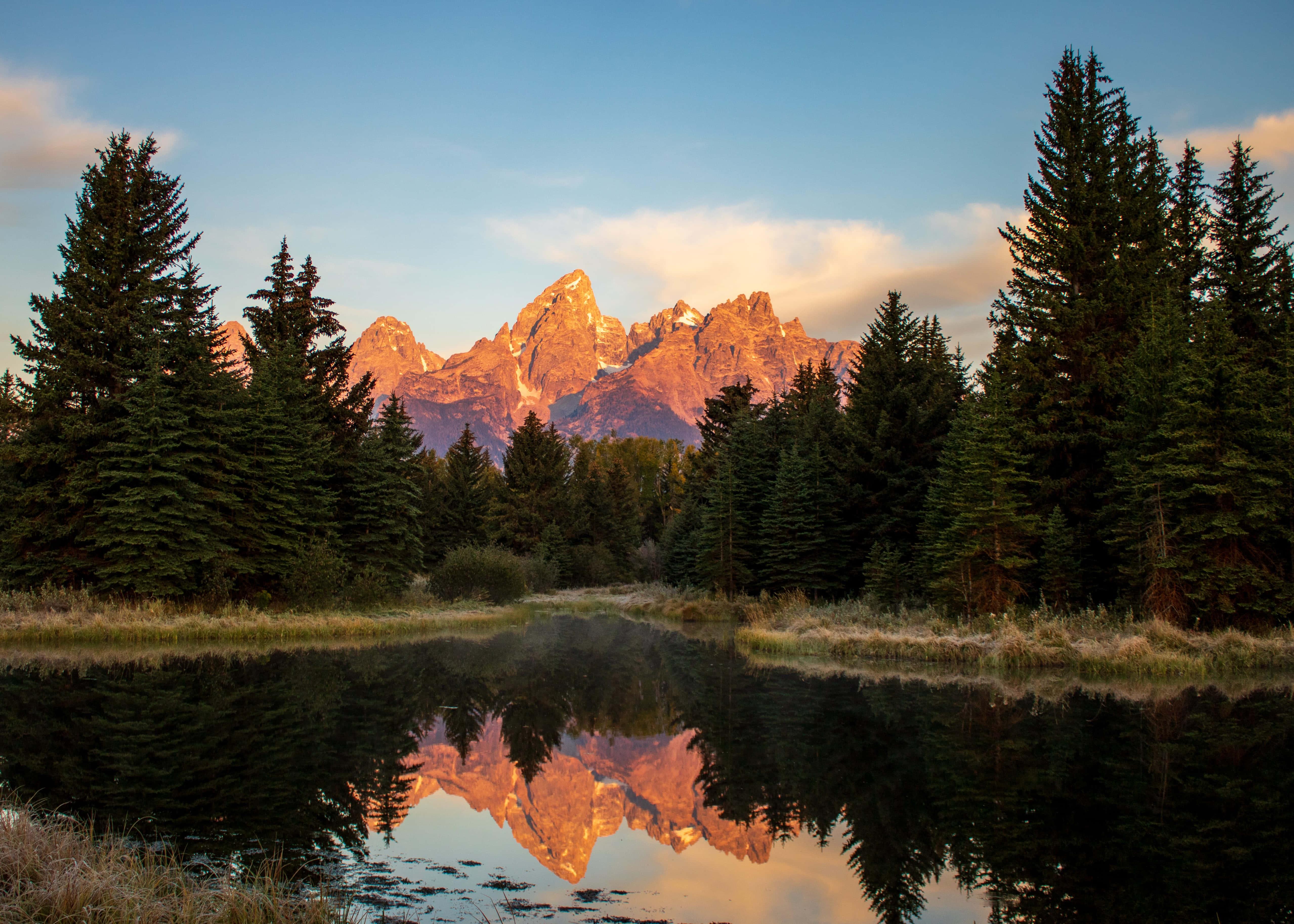 Nature Background — 5115x3653 wallpaper