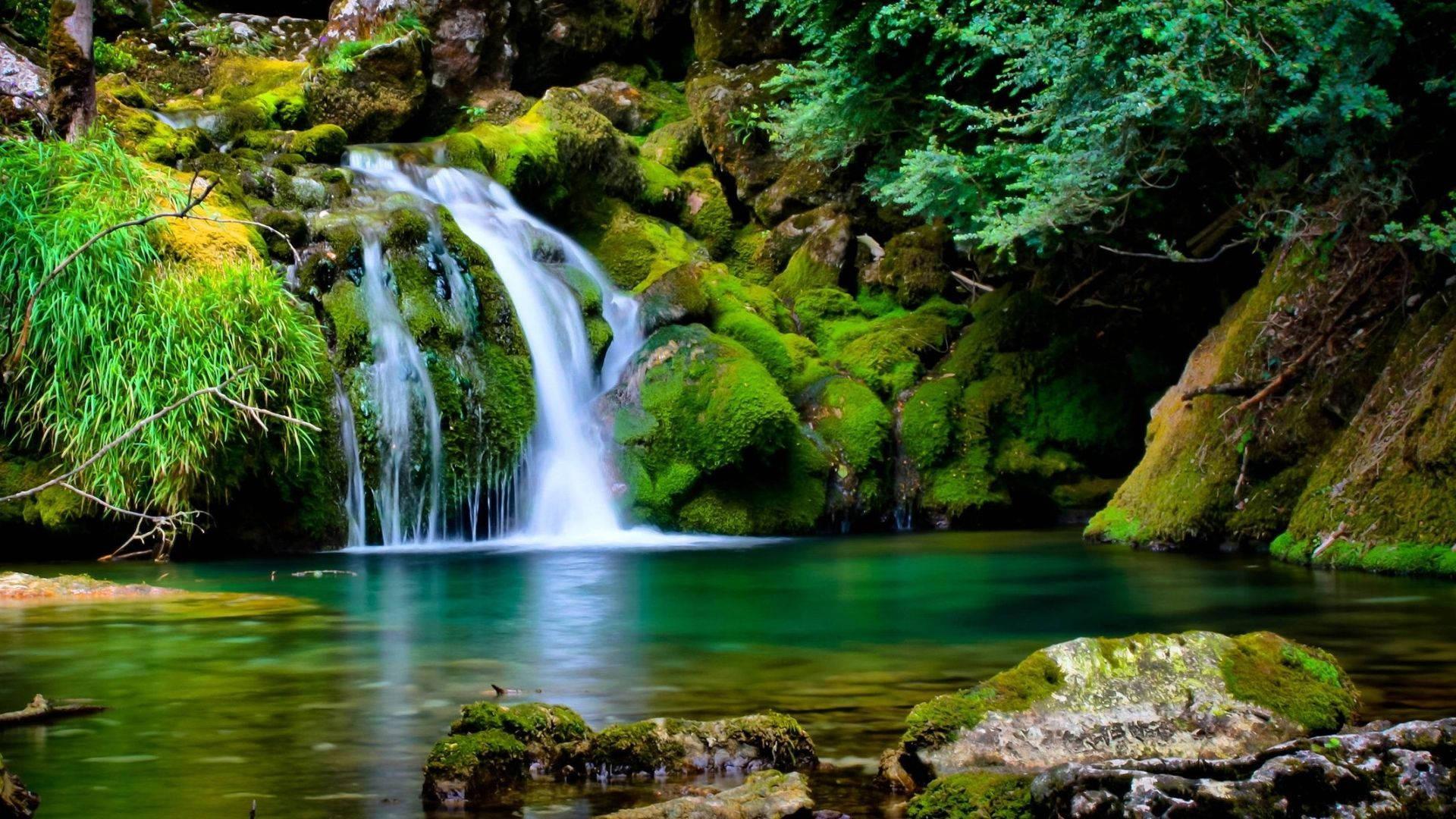Nature Digital Art — 1920x1080 wallpaper