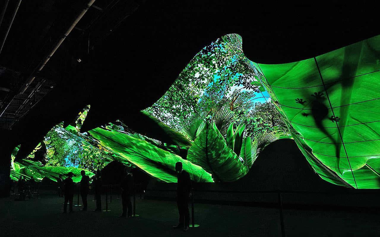 Nature Oled Picture — 1280x800 wallpaper