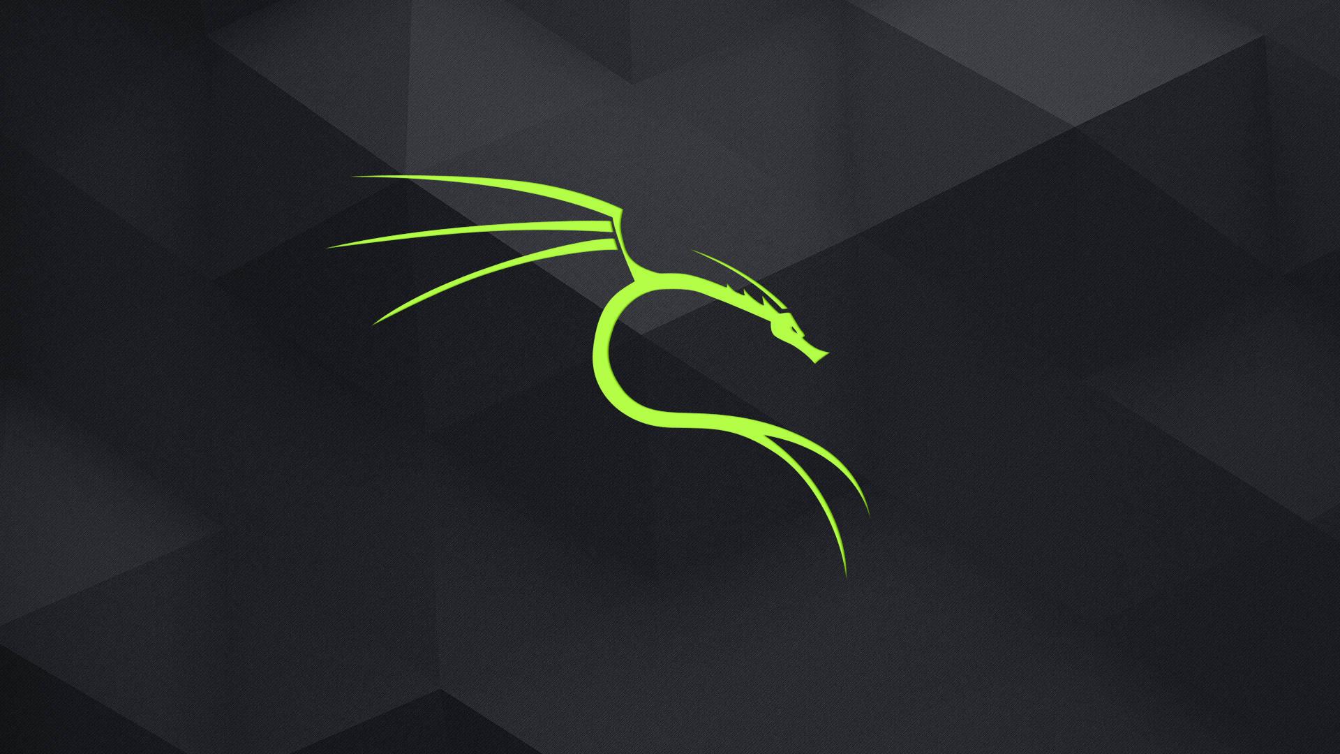 Neon Green Kali Linux HD — 1920x1080 wallpaper