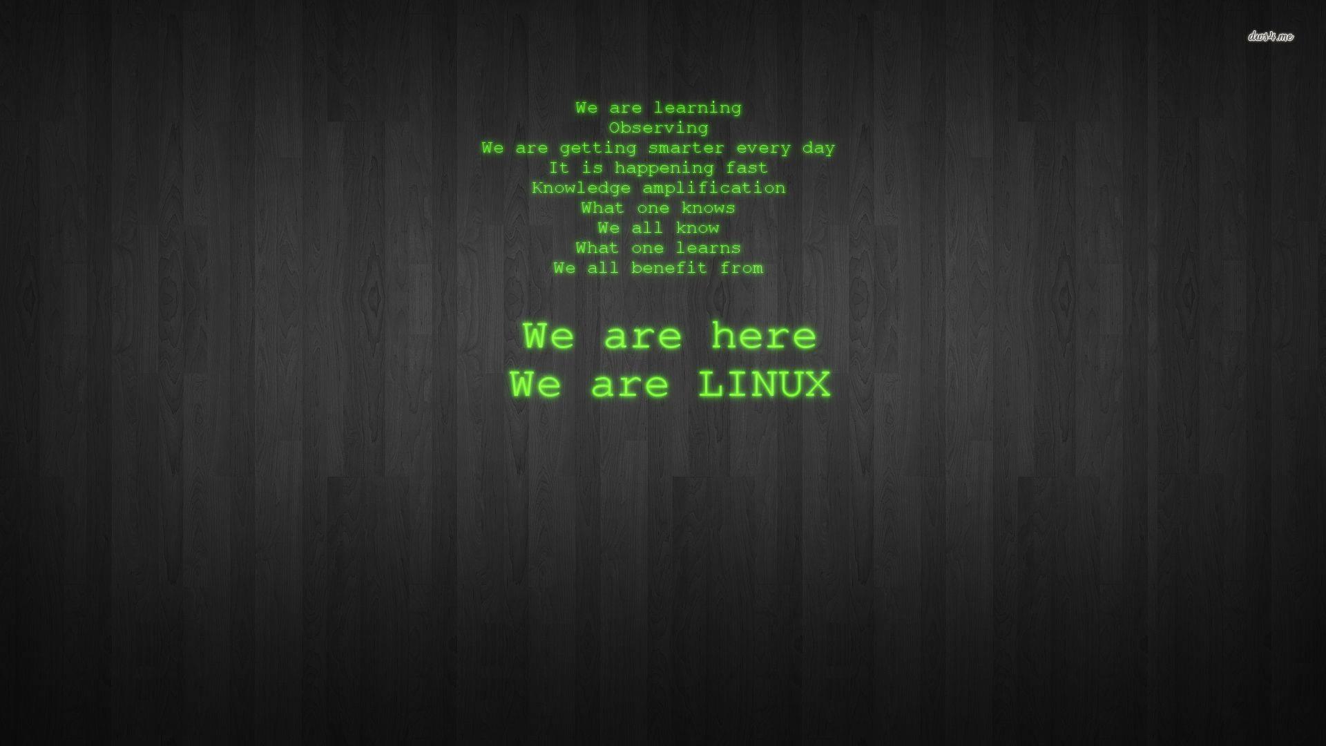 Neon Green Linux Debian Hacker — 1920x1080 wallpaper