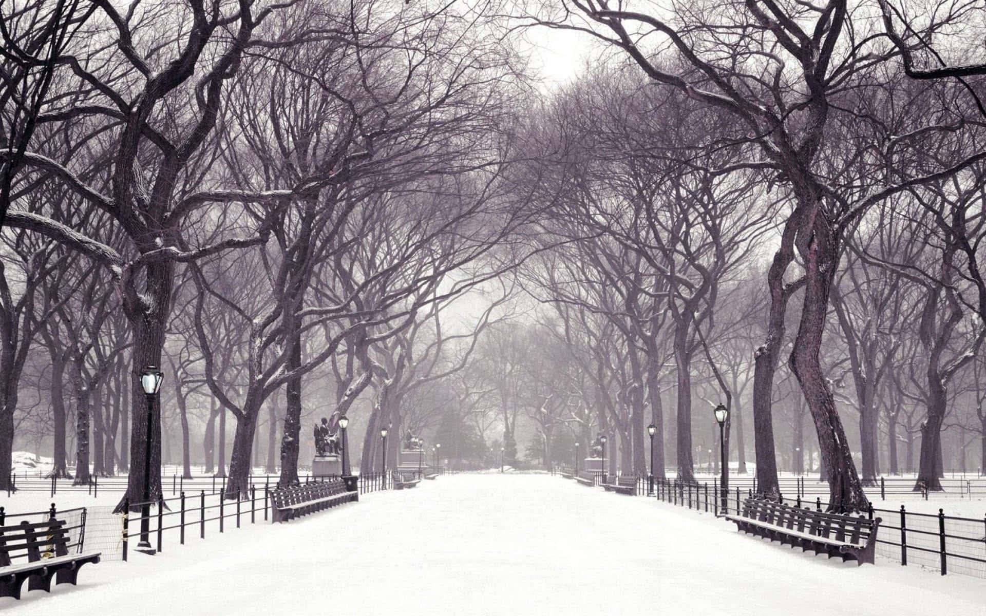 New York City background — 1920x1200 wallpaper