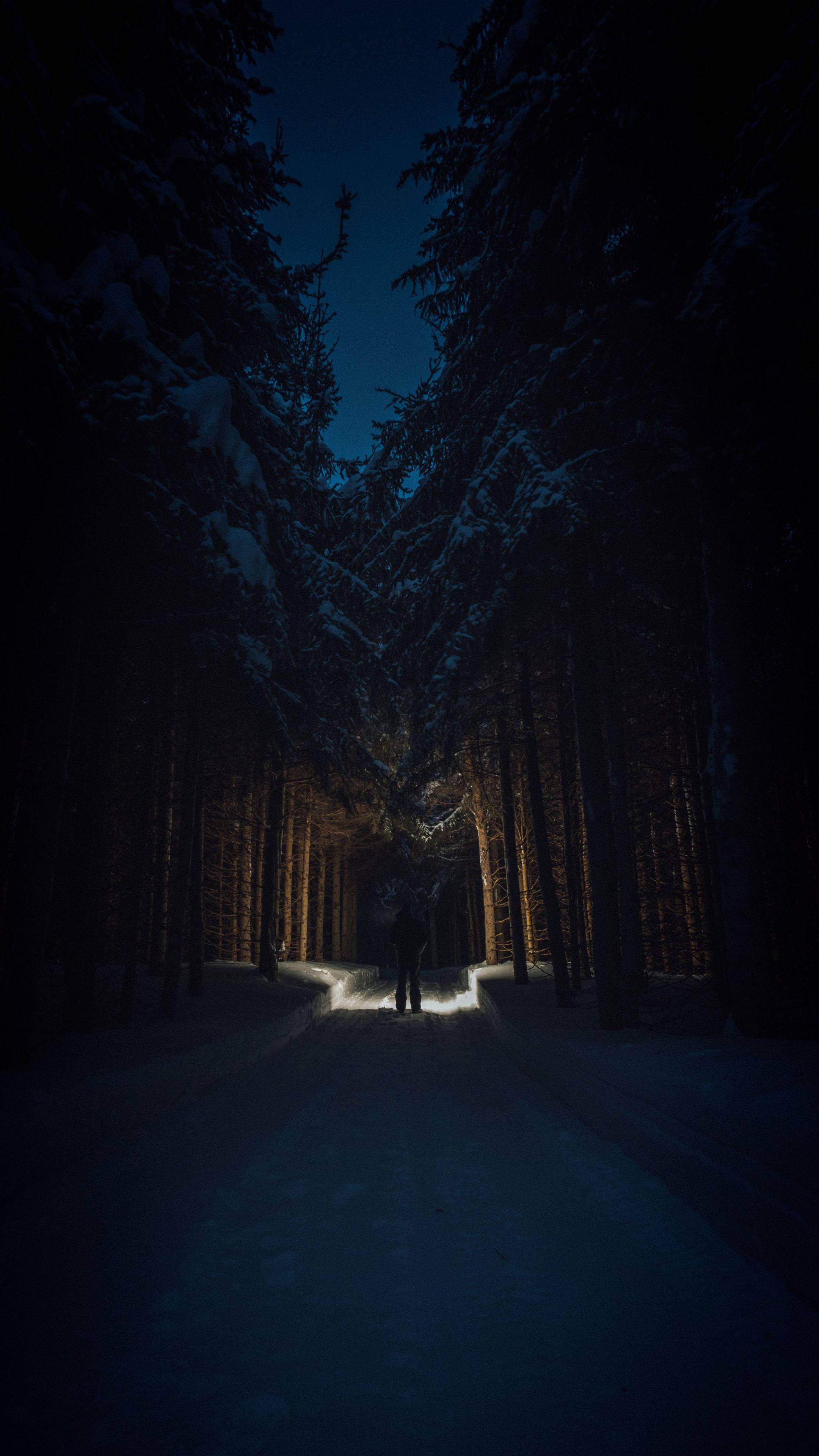 Night In The Forest 4K Ultra HD Dark Phone — 2160x3840 wallpaper
