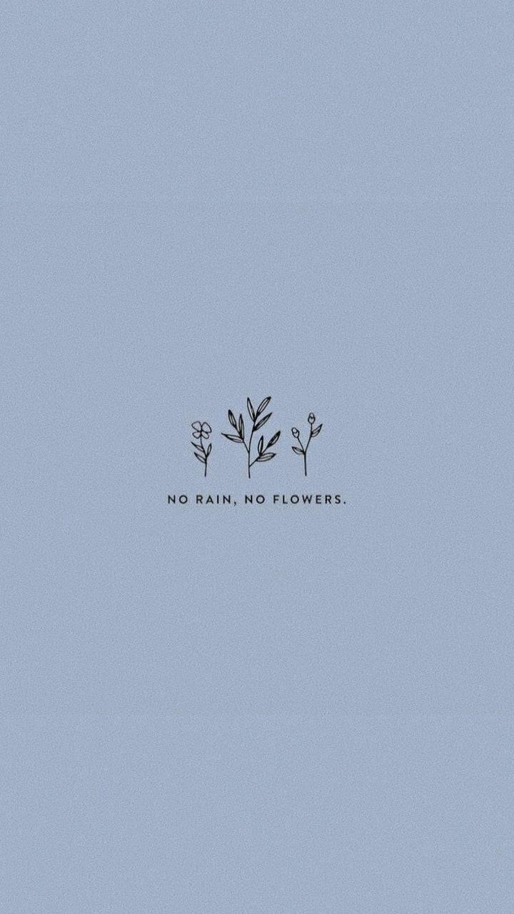 No Rain No Flowers Cute Aesthetic — 720x1280 wallpaper